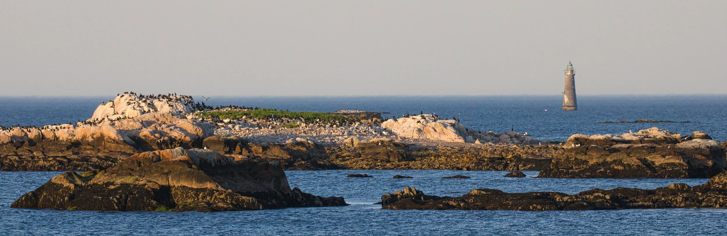Minot Lighthouse 1.jpg
