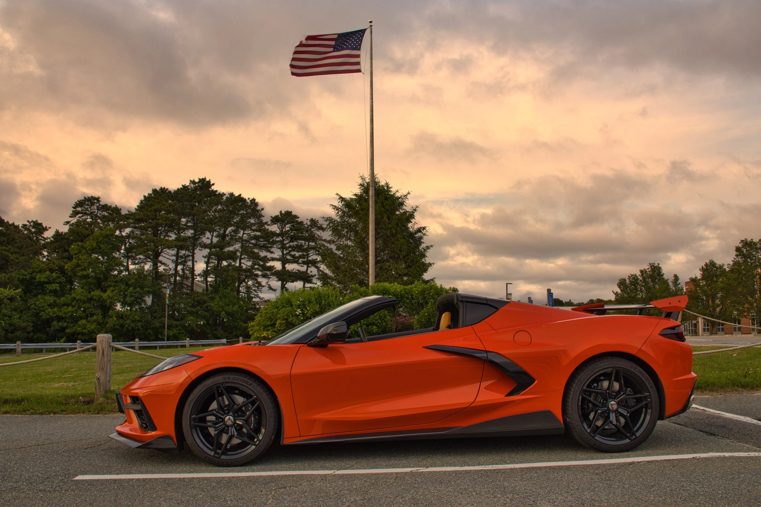 Hayley the C8 Corvette