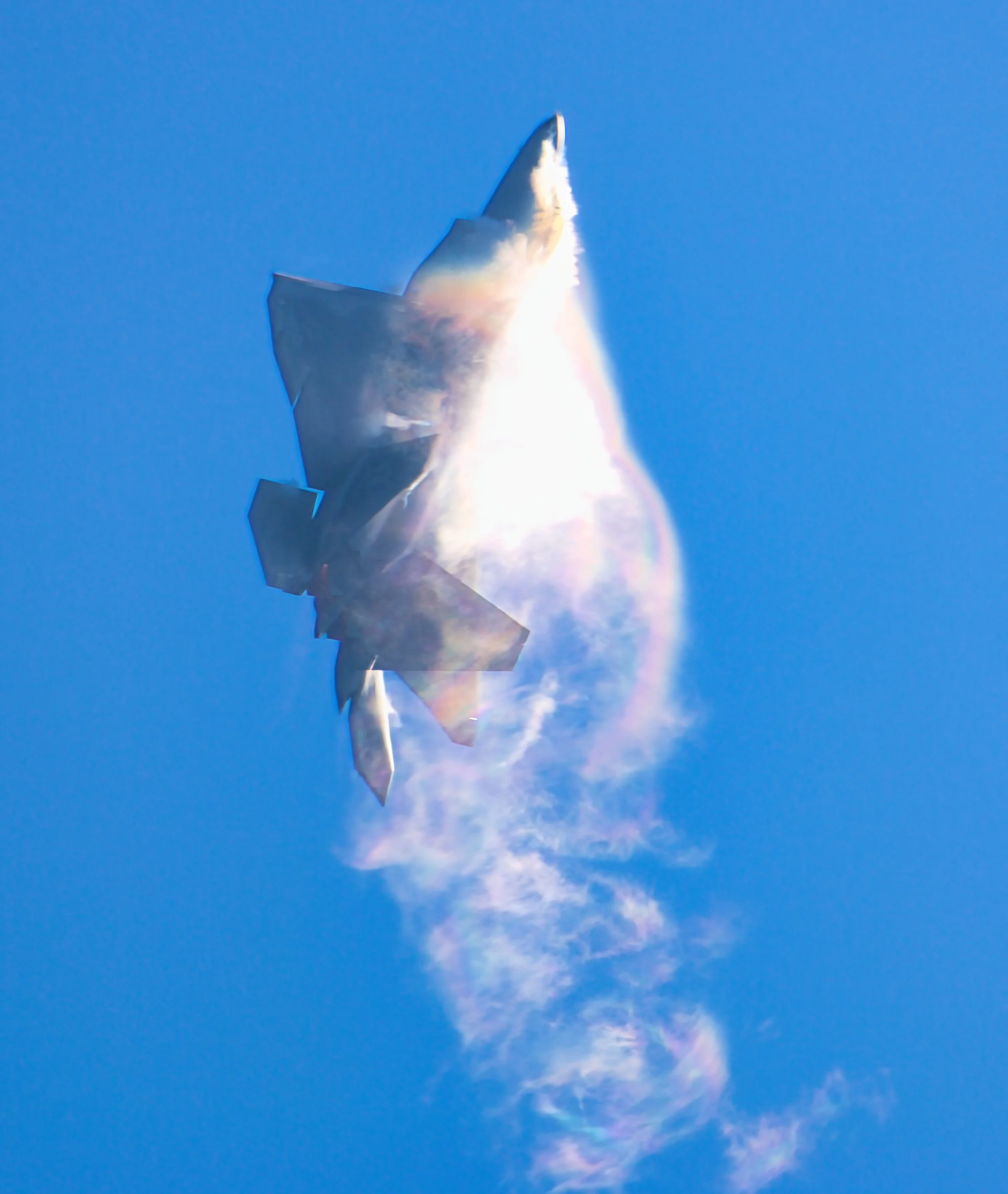 Raptor Tybee - WT23 - 3.jpg