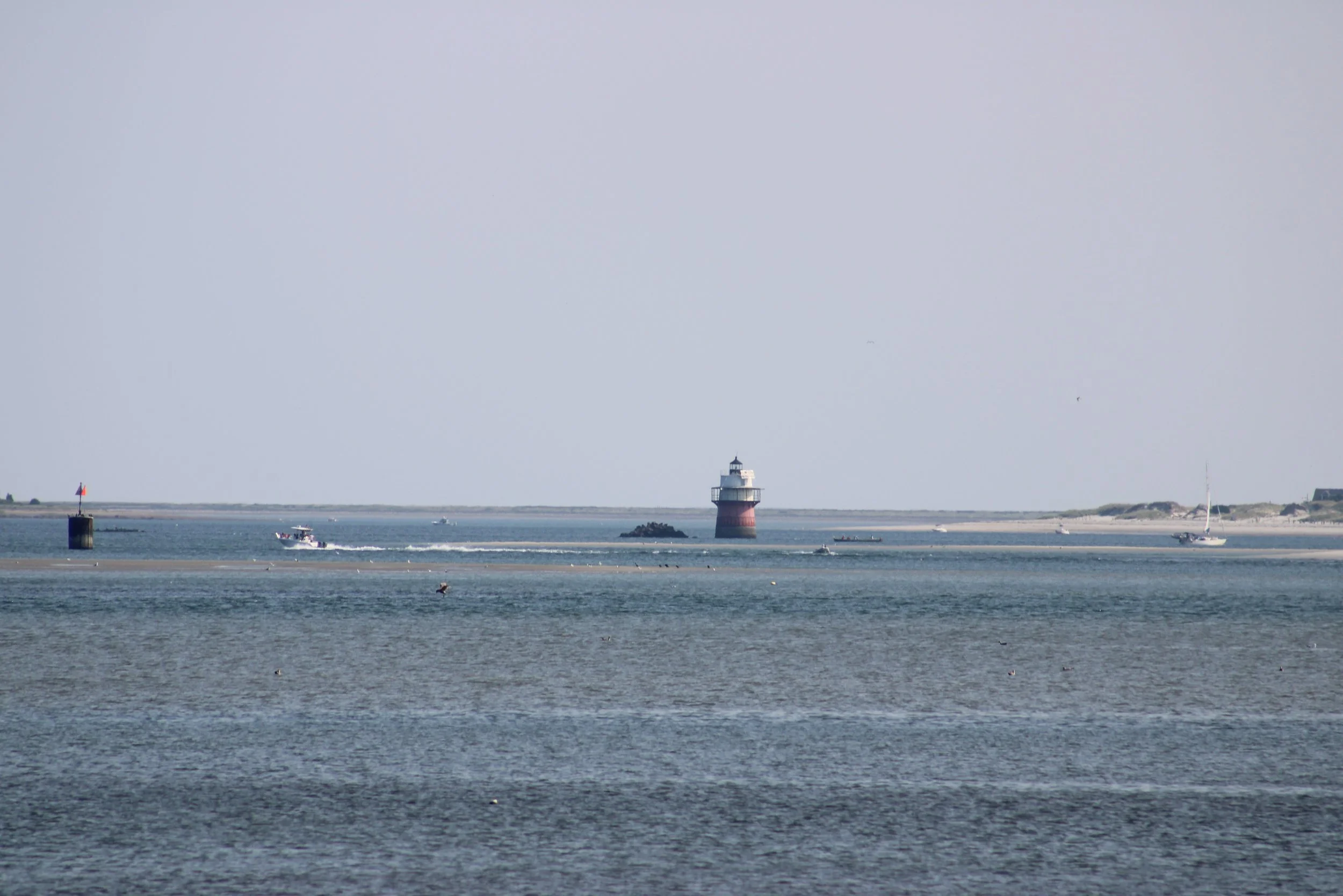 IMG_2840.JPG