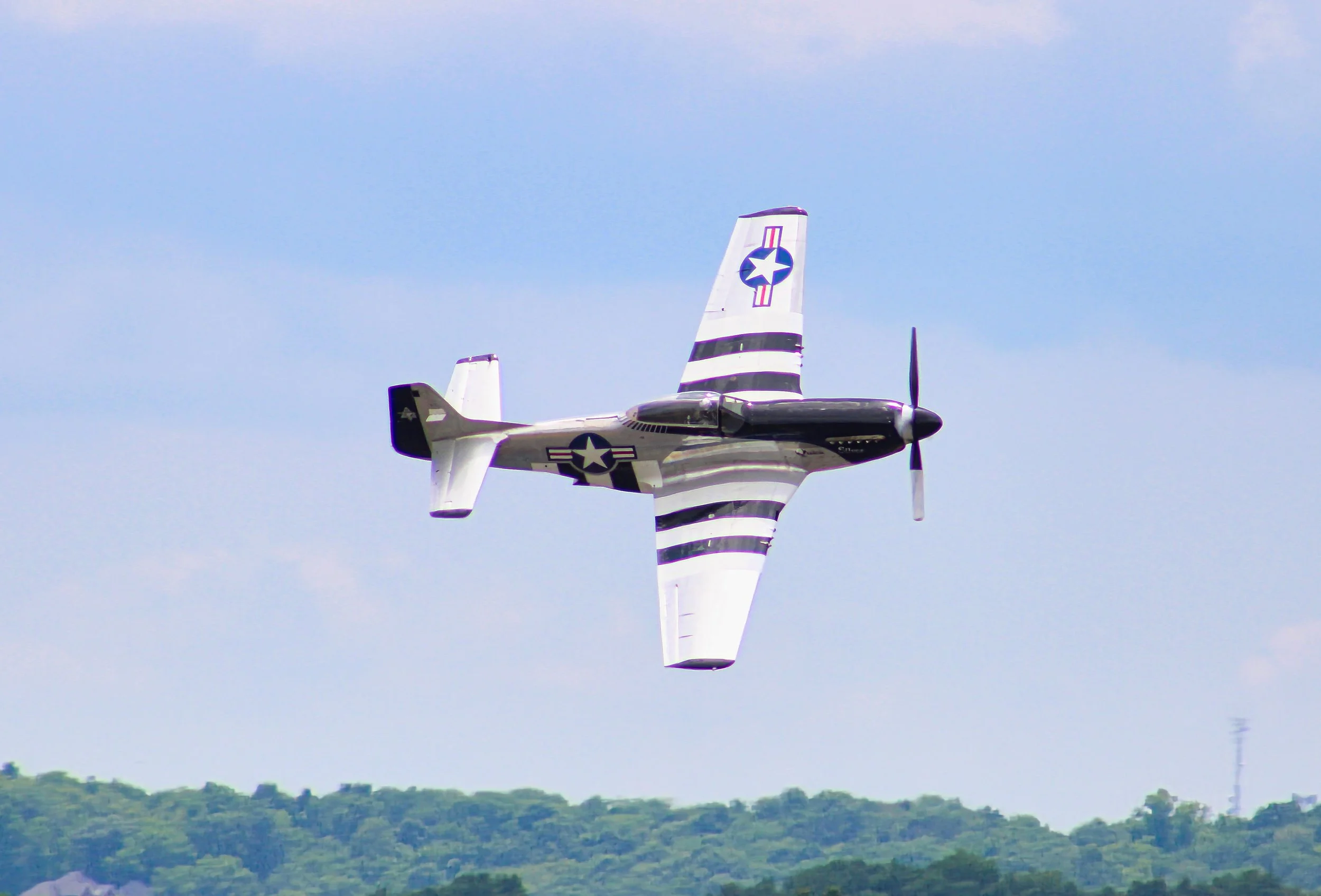Smyrna - P-51 Mustang - Quick Silver 2.jpg