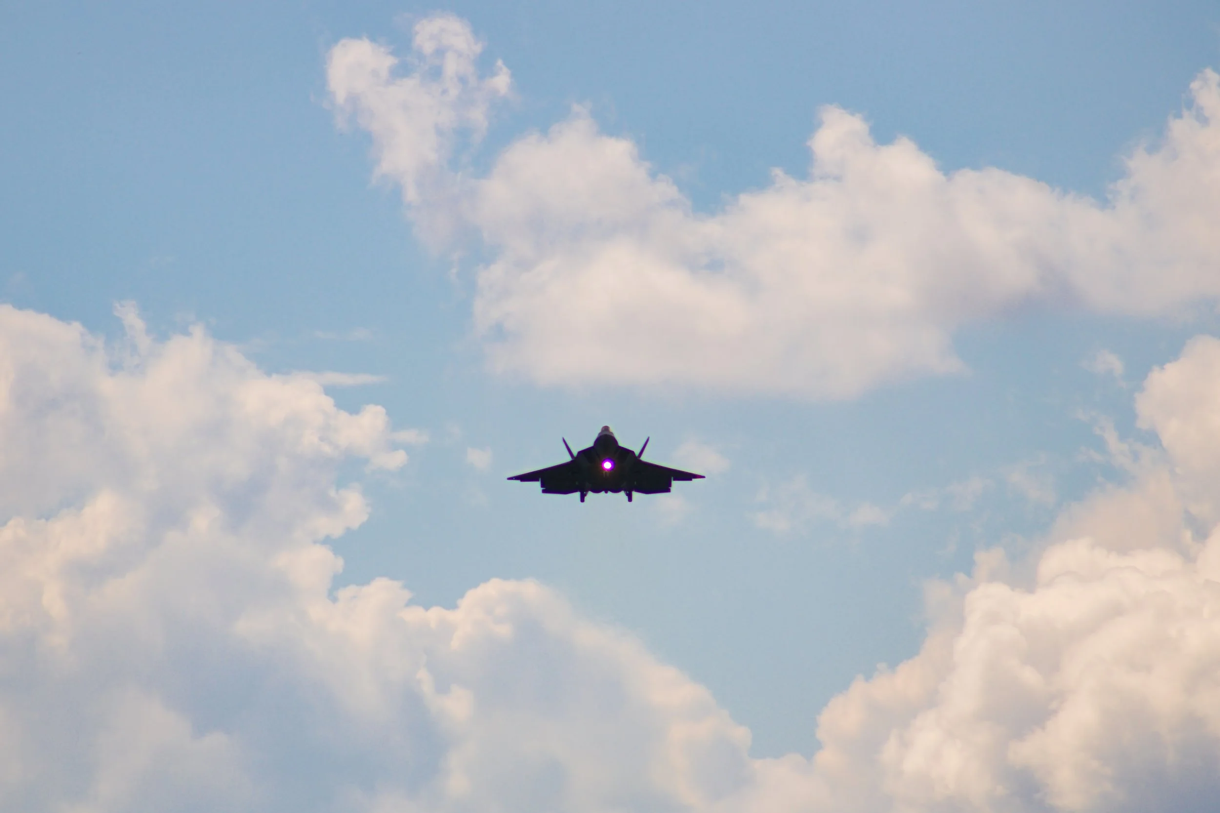 Raptor Landing - WT23.jpg
