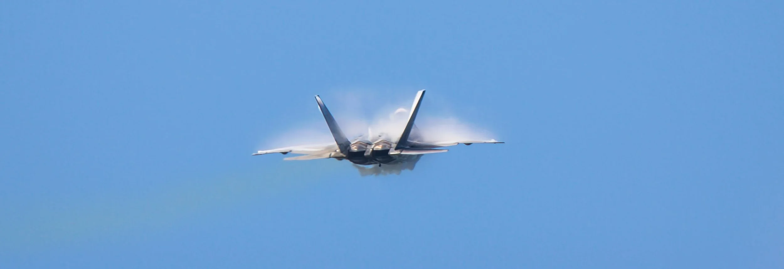 Raptor Tybee - WT23 - 4.jpg