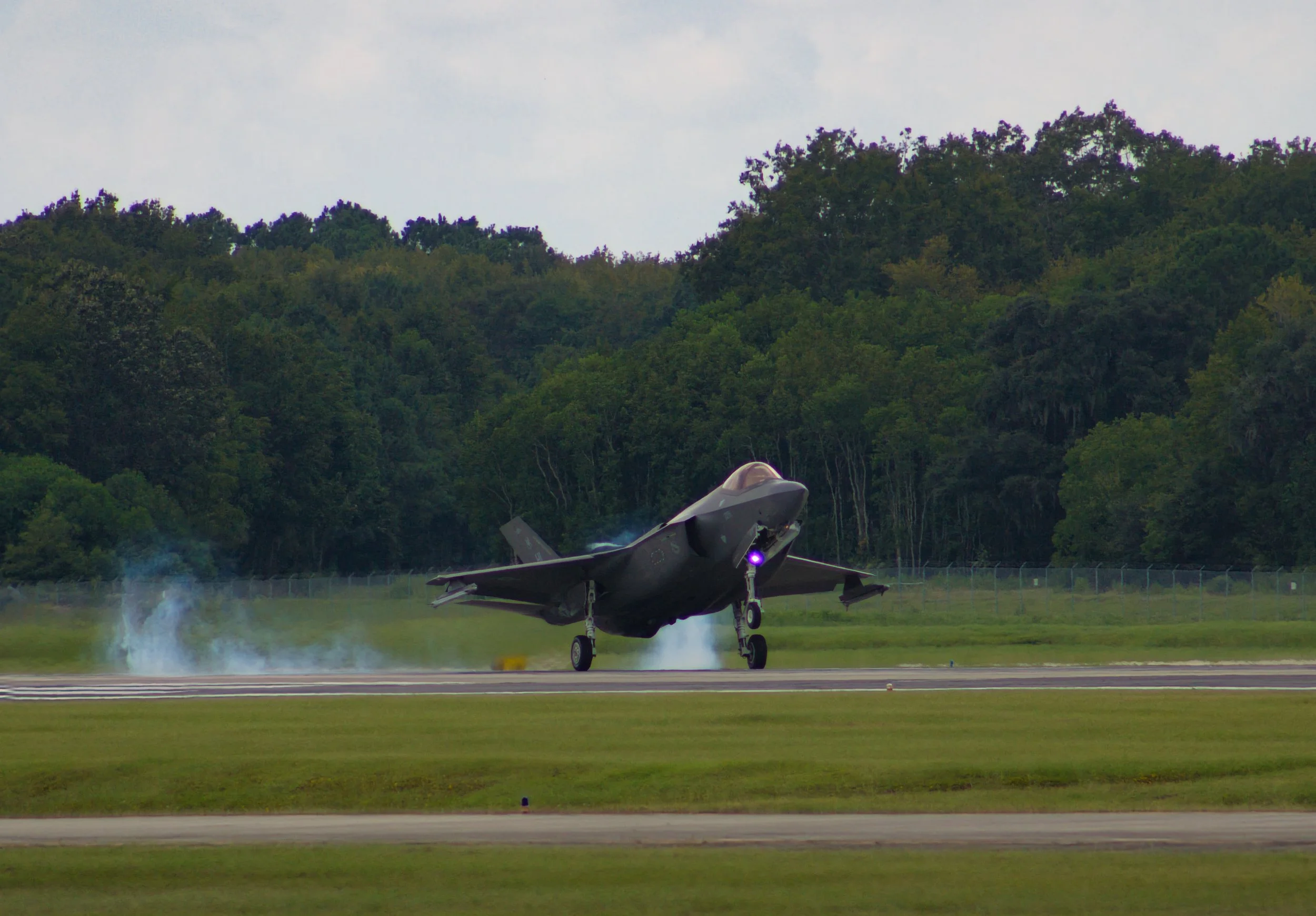 Battle Penguin Landing WT23.jpg