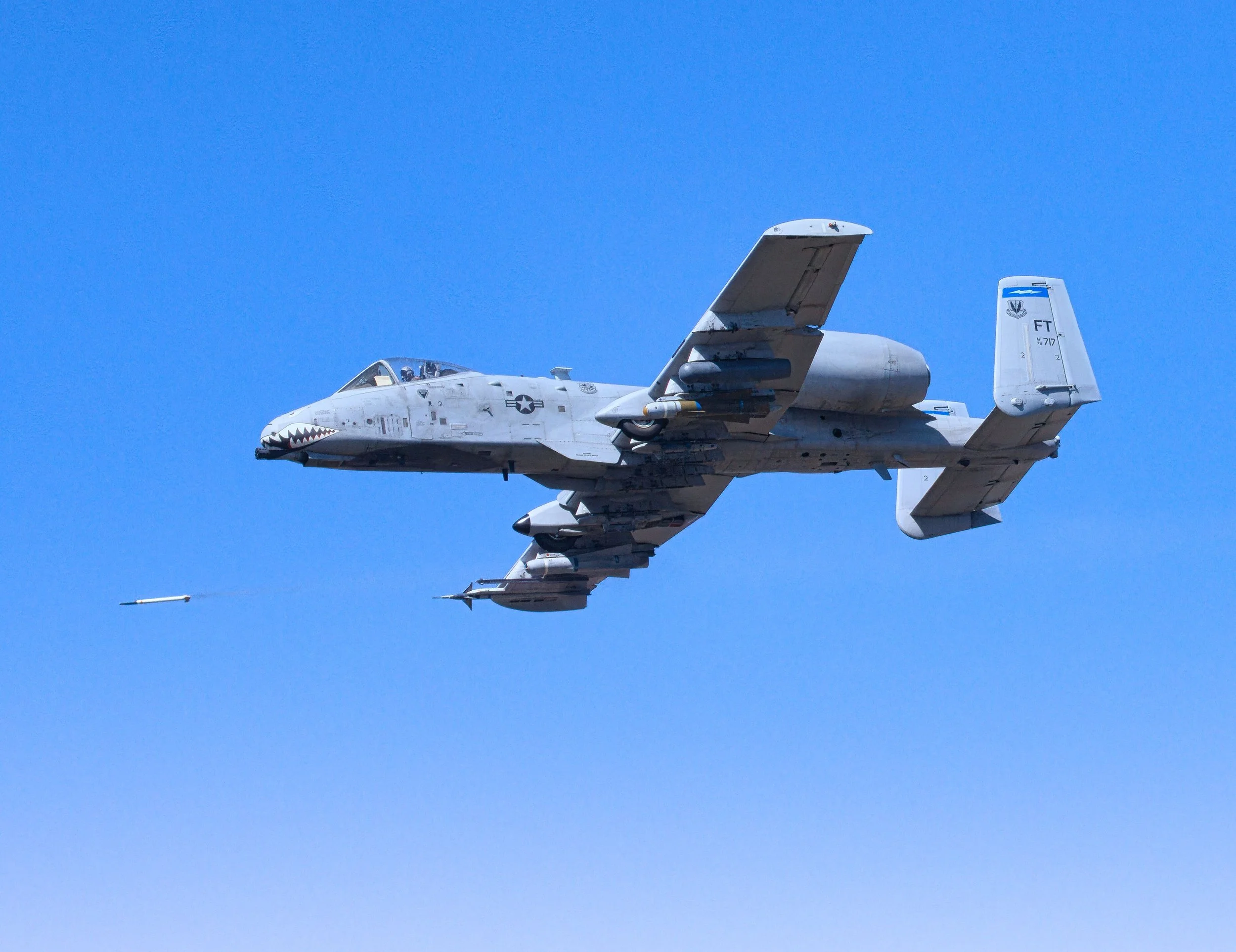 3B5A3151.jpg