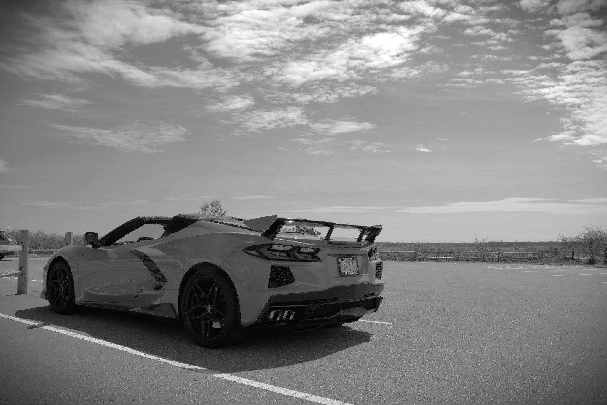B&W Vette.jpg
