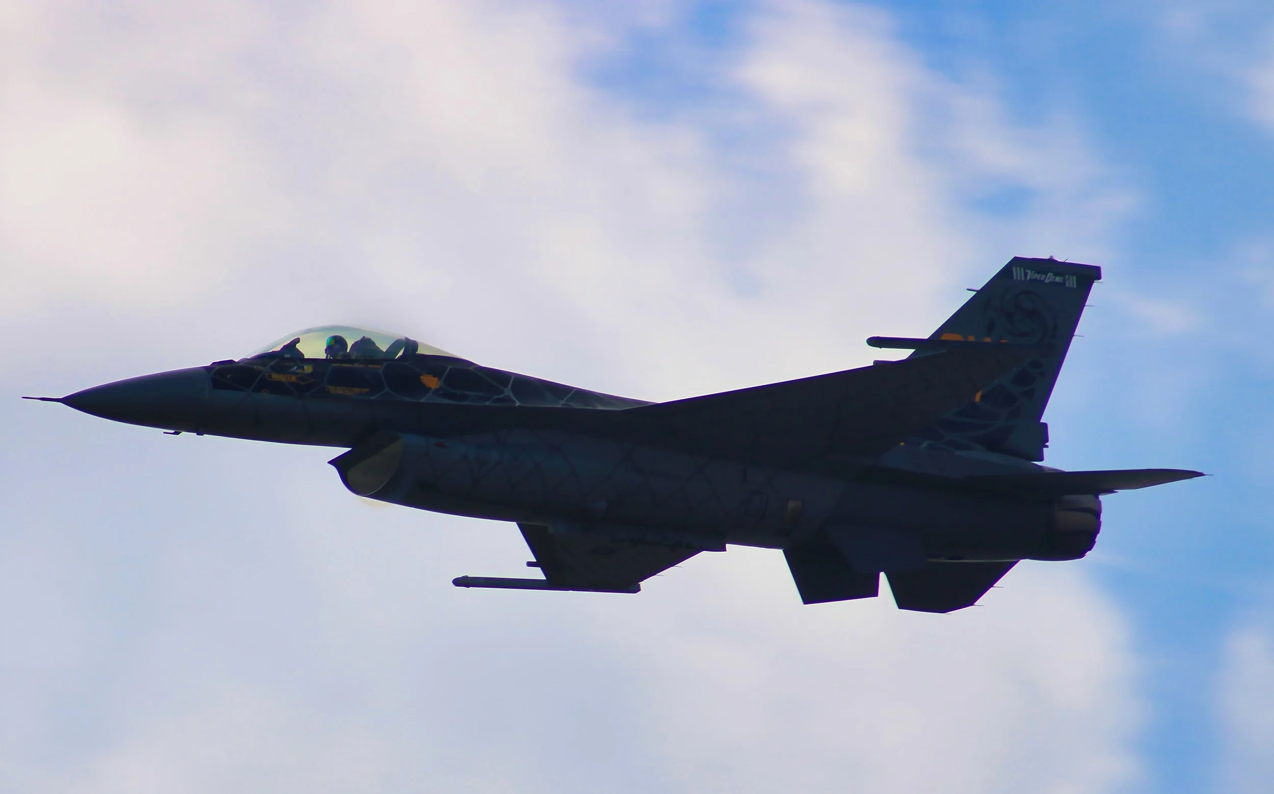 Viper Demo 5.jpg