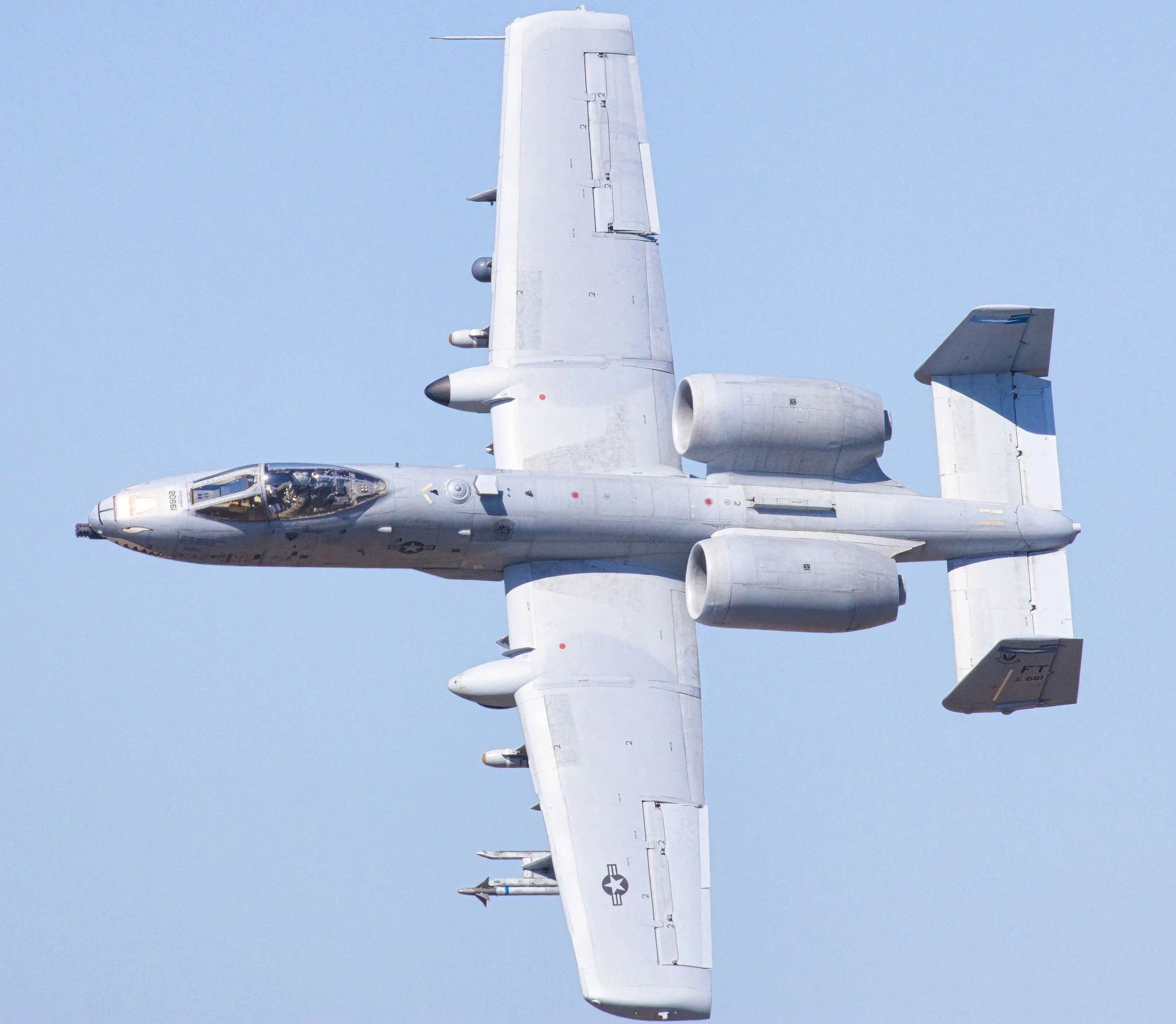3B5A2631.jpg