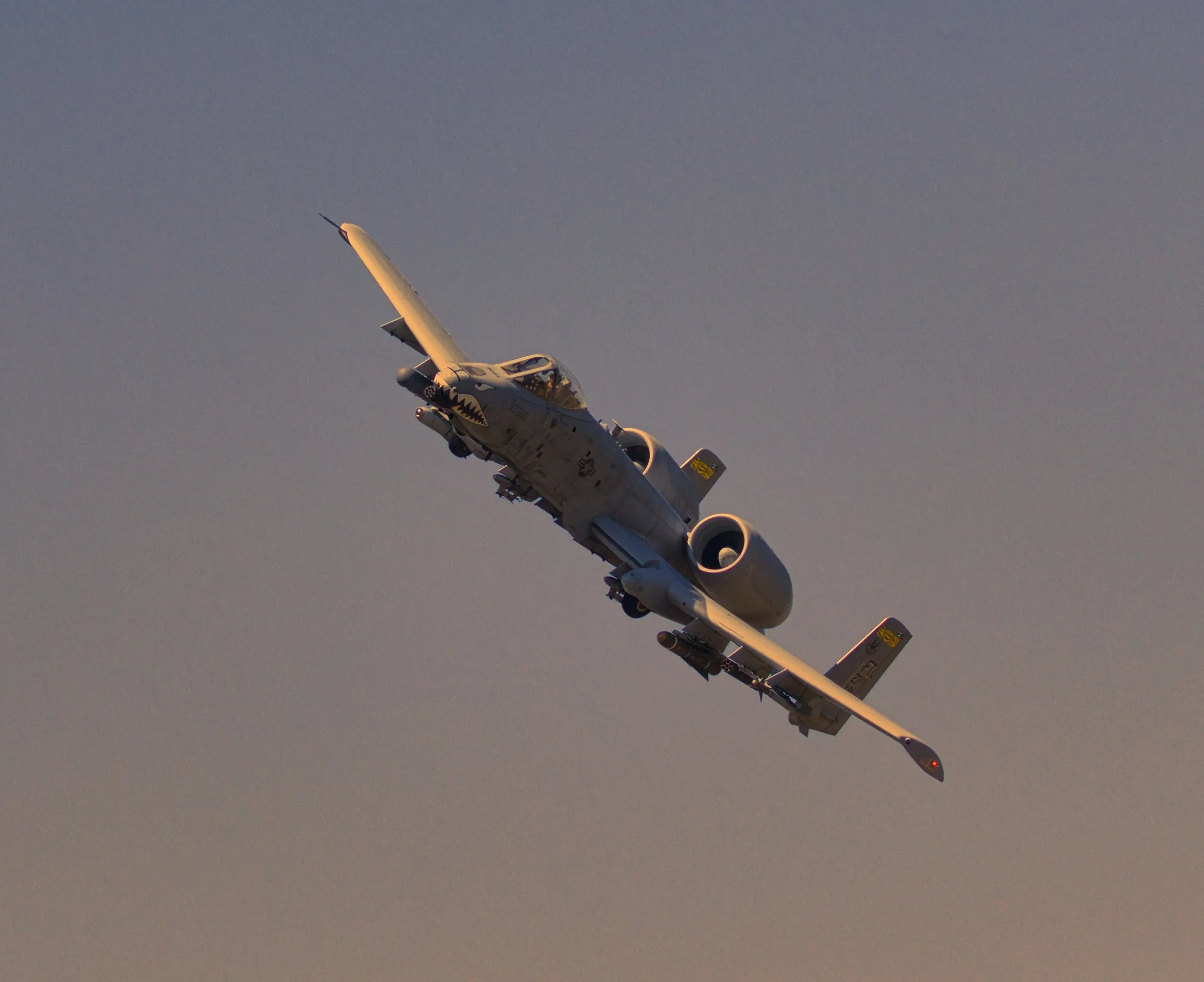 3B5A3239-Golden.jpg