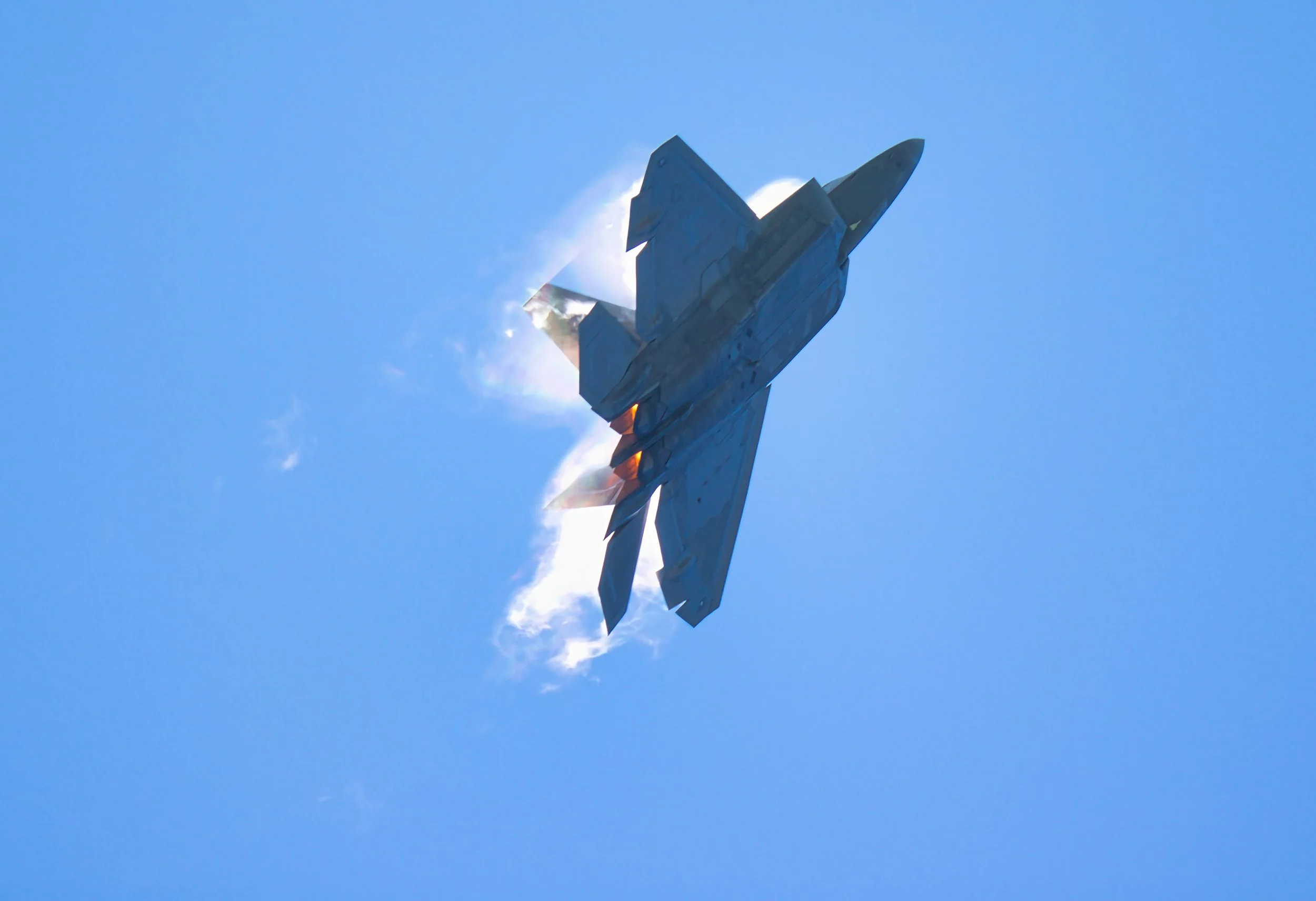 Raptor - Tybee WT23.jpg