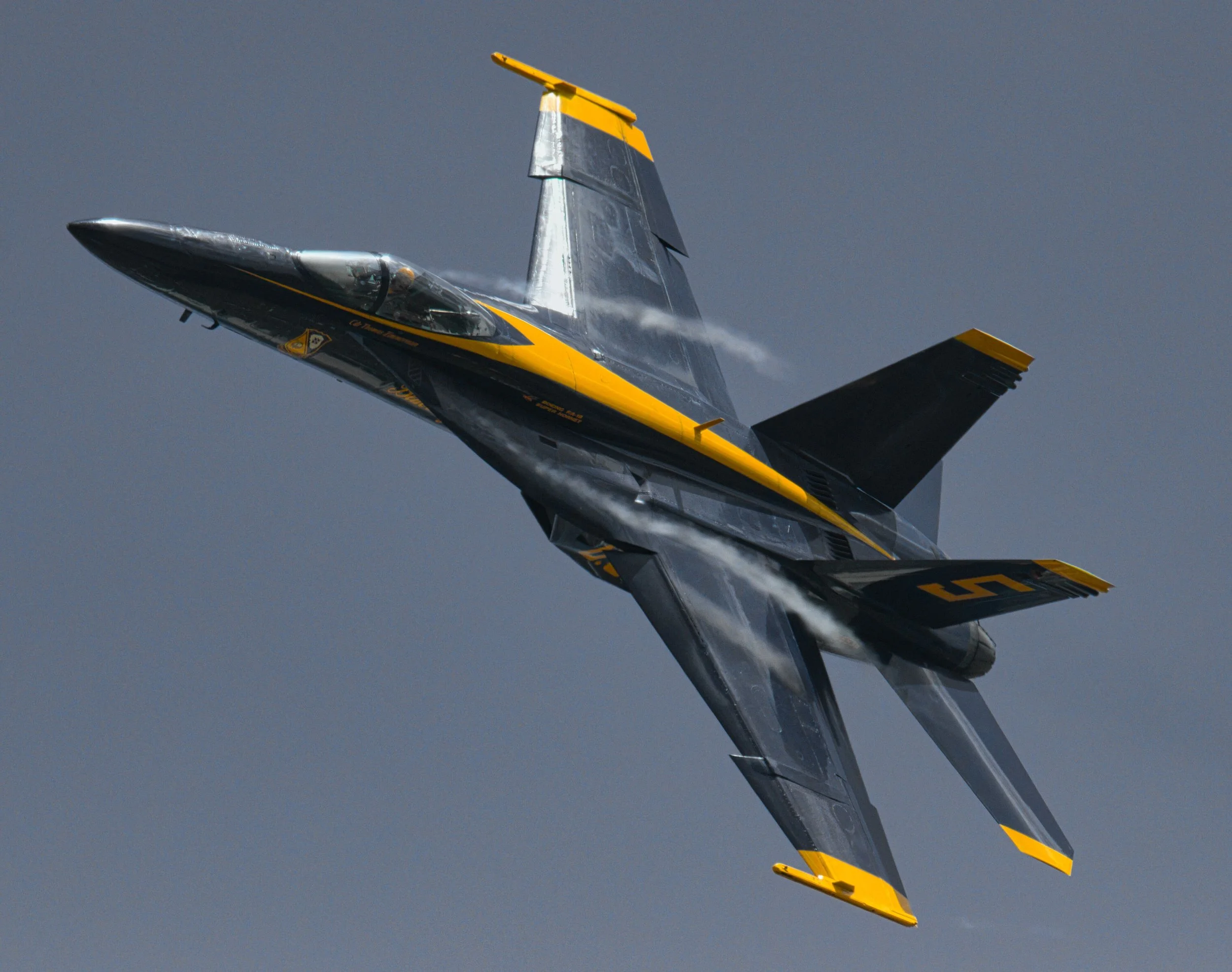 3B5A8293 - YELLOW.jpg