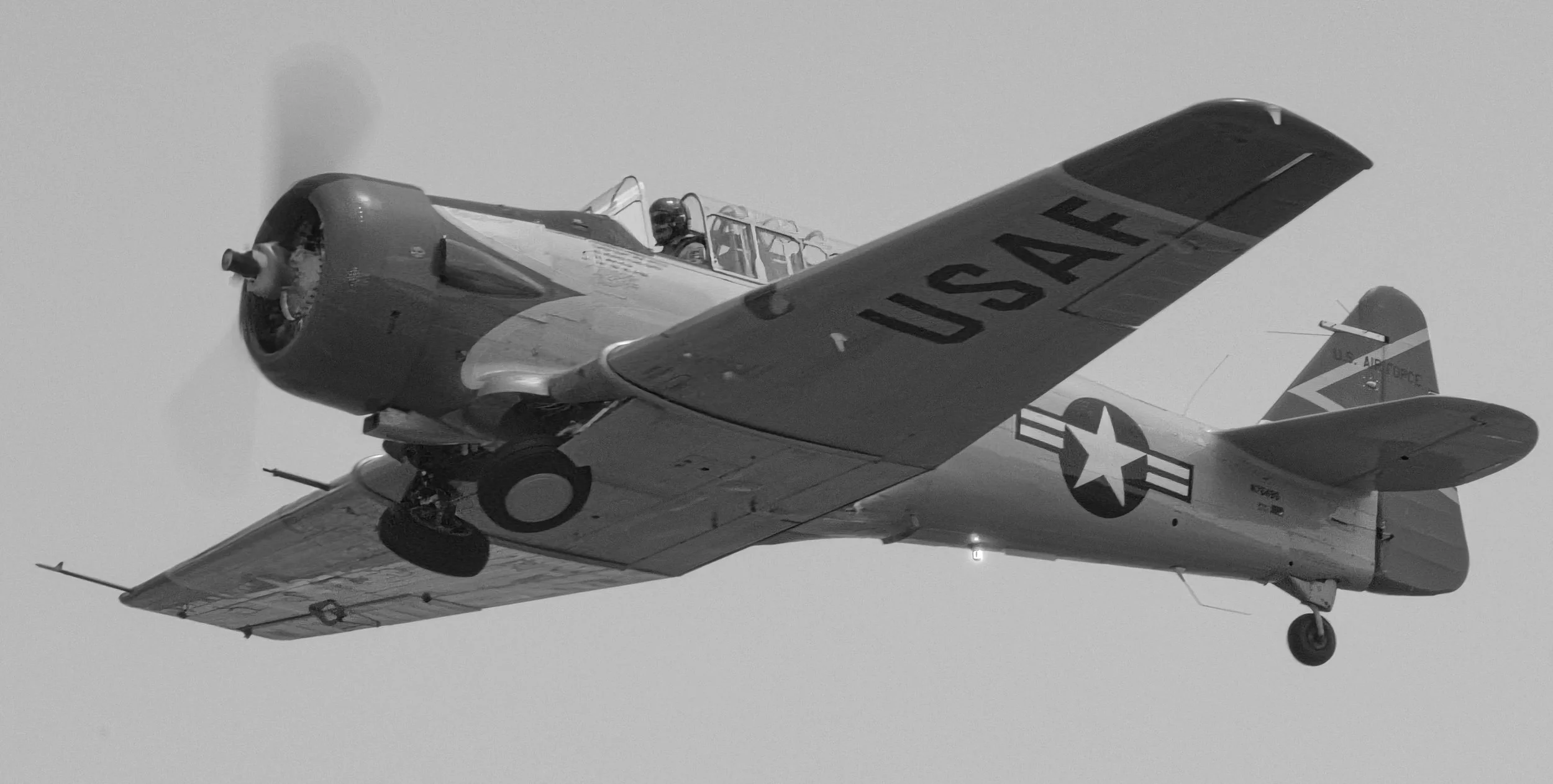 3B5A0068 - EDITED - B&W.jpeg