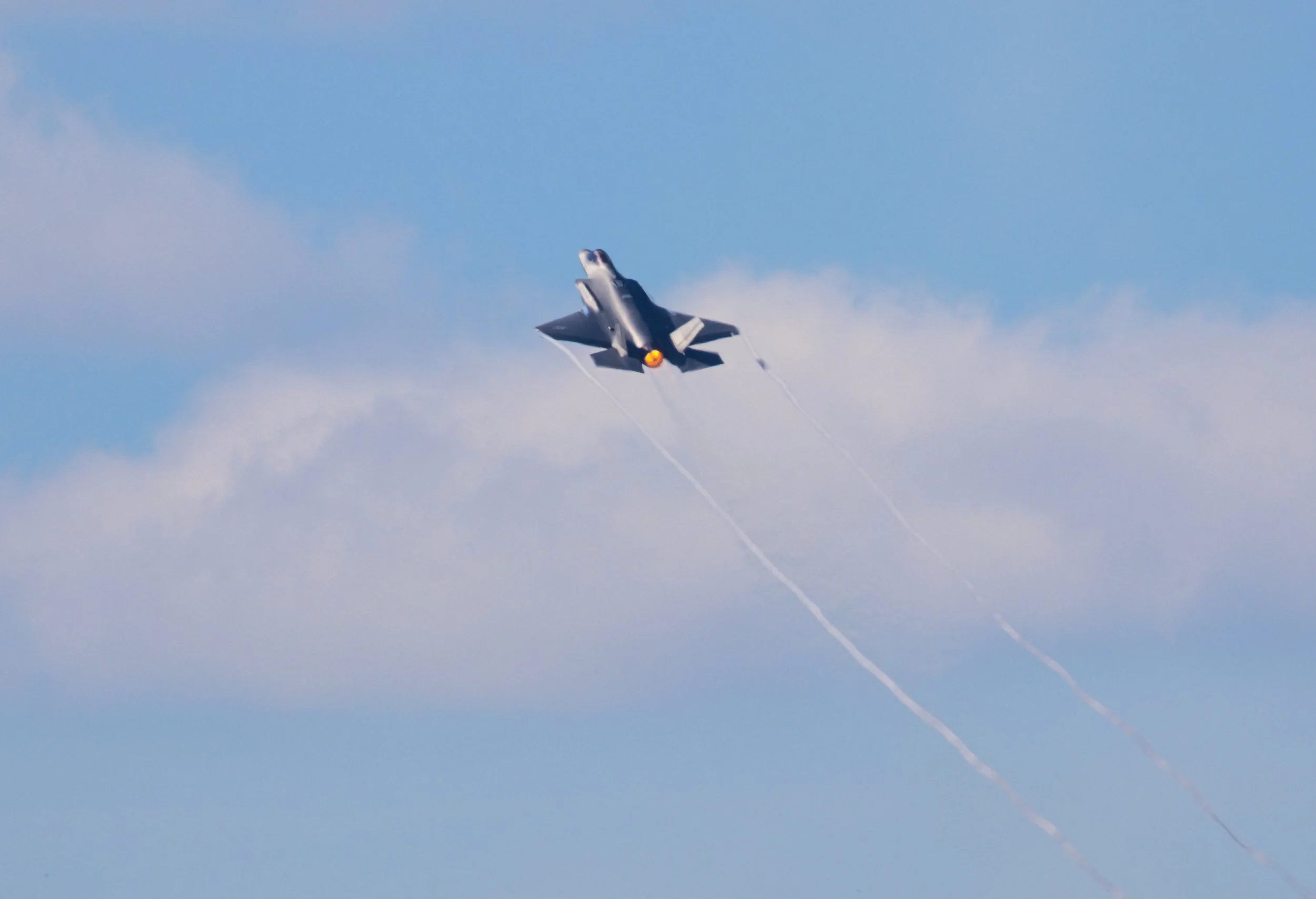 3B5A2619.jpg