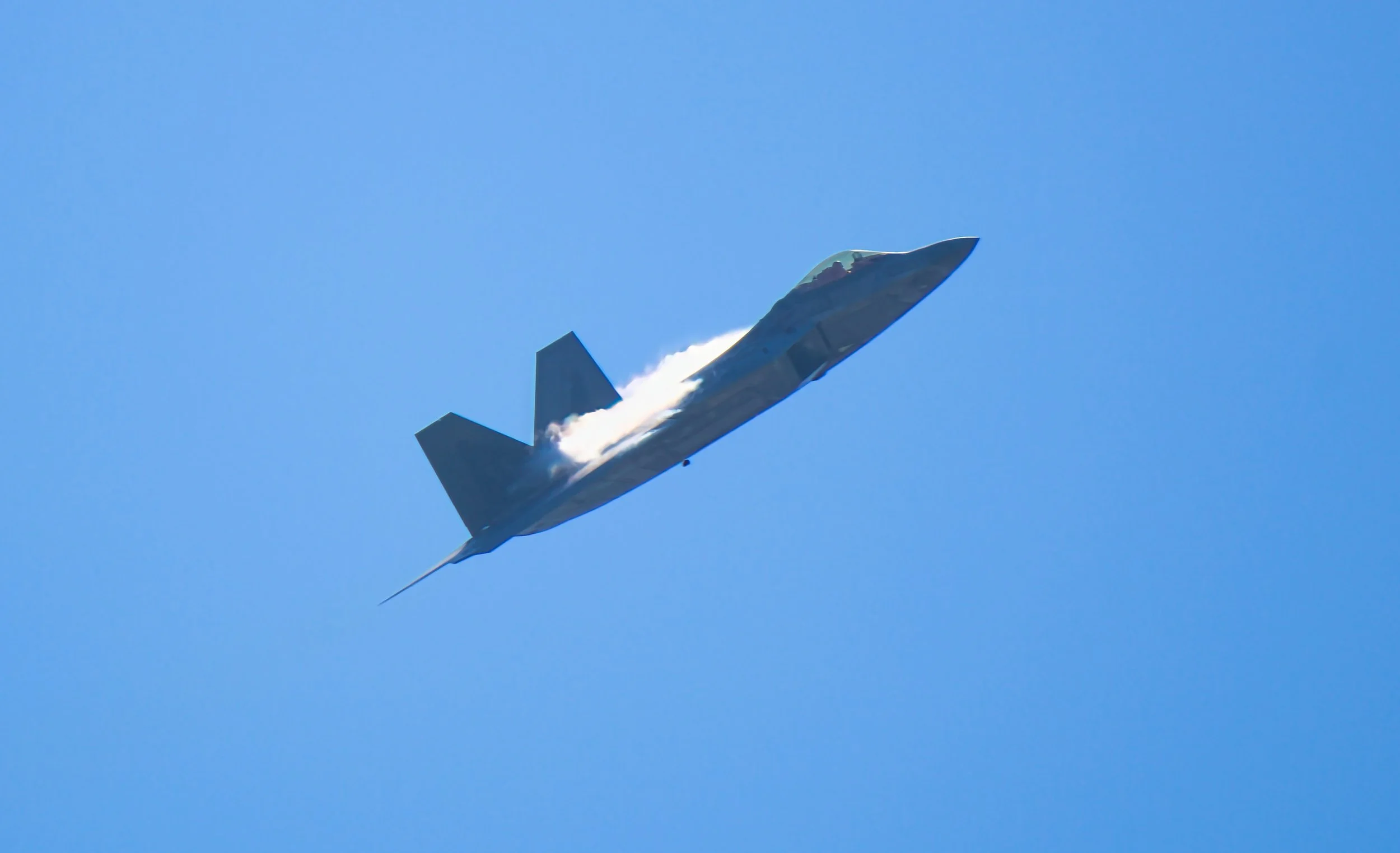 Raptor Tybee - WT23 - 5.jpg