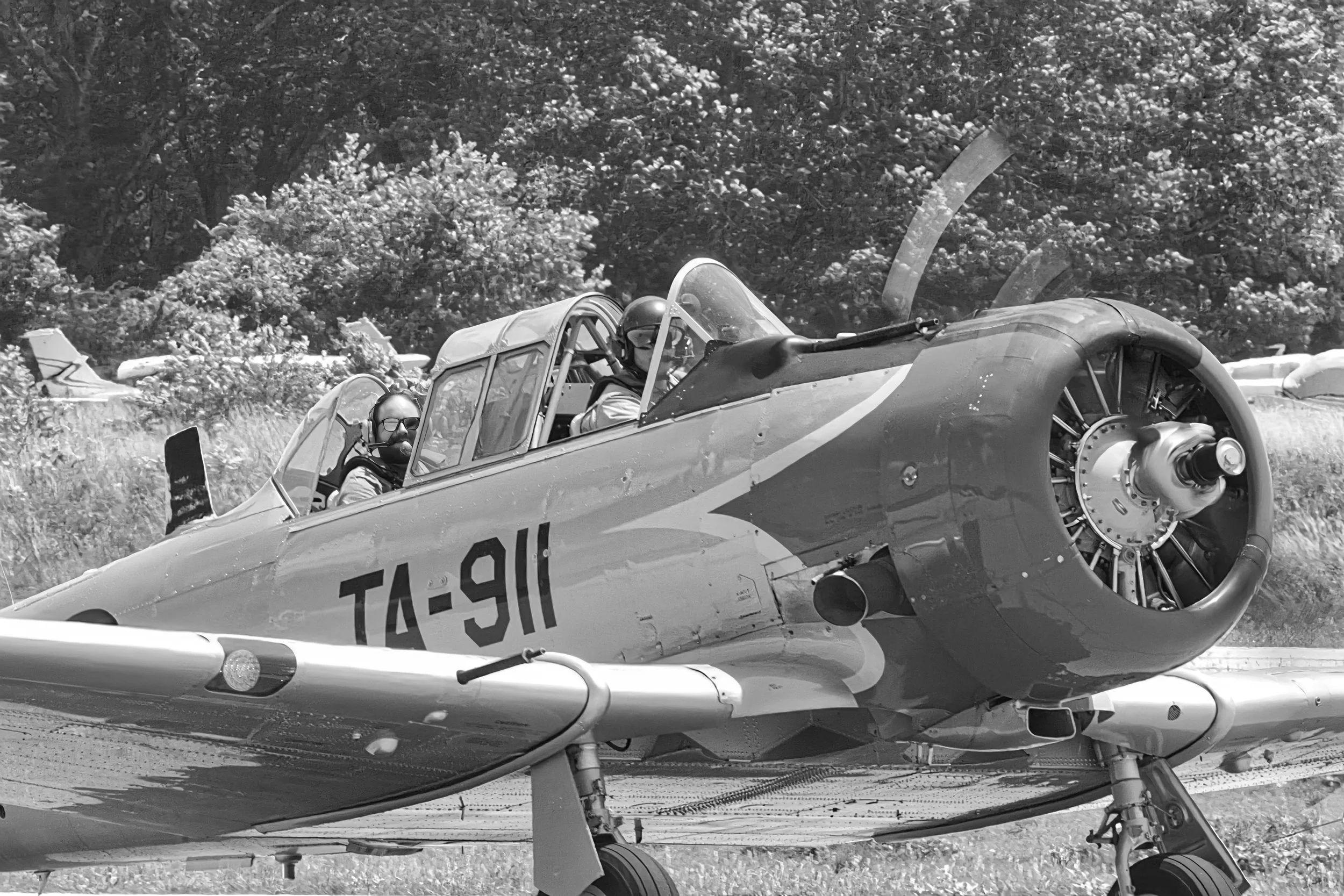3B5A0133 - EDITED - B&W.jpeg