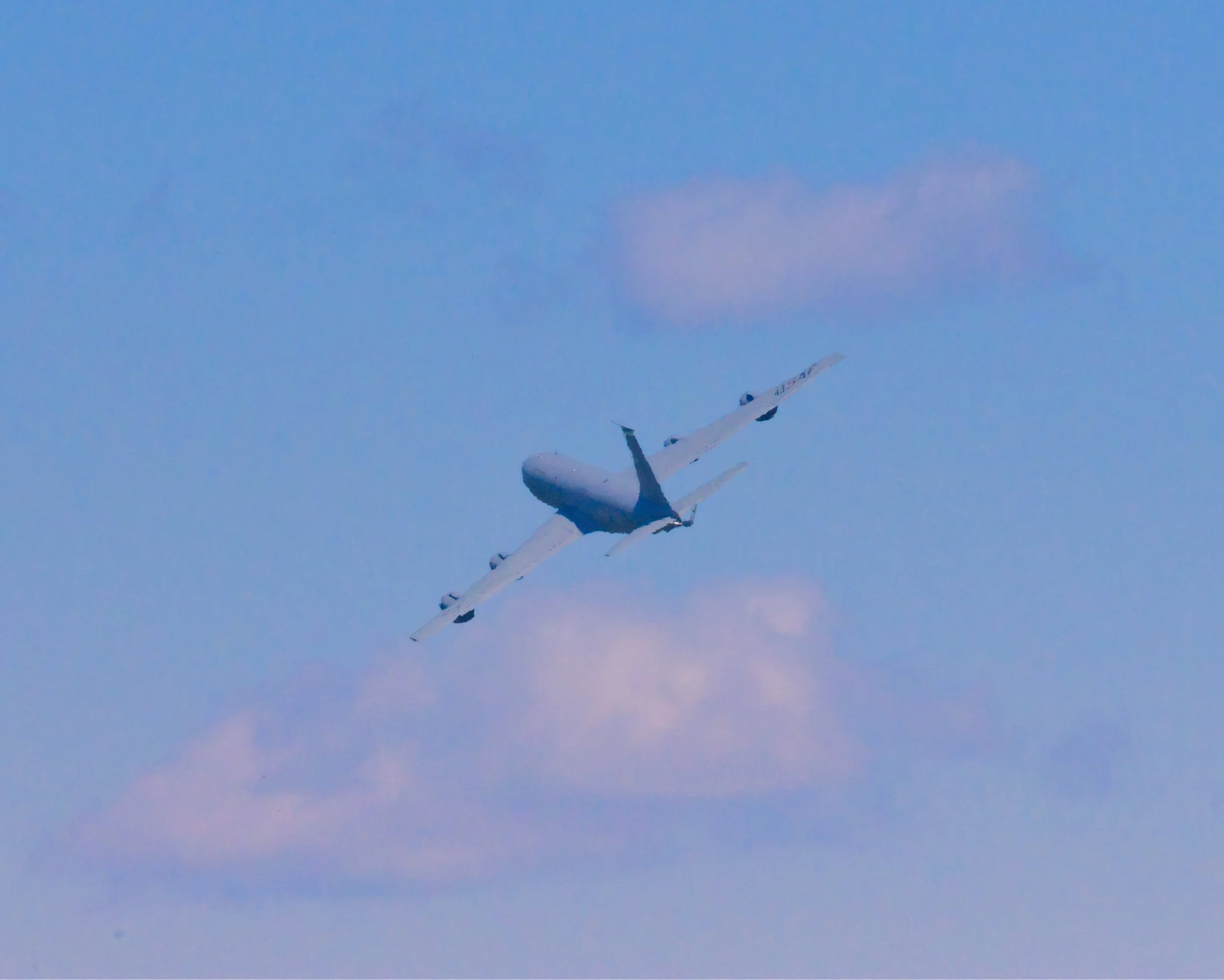 3B5A3241.jpg