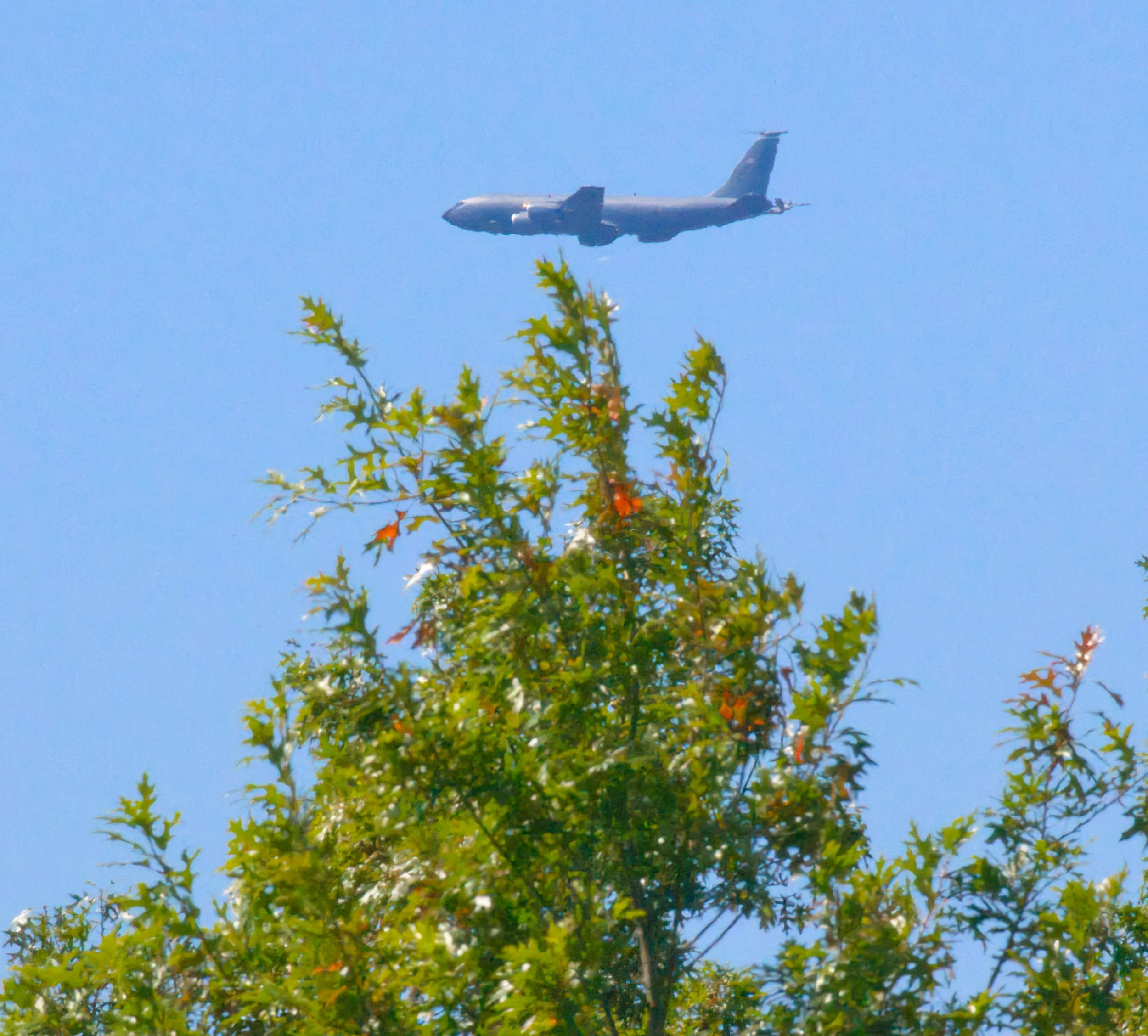 3B5A3256.jpg