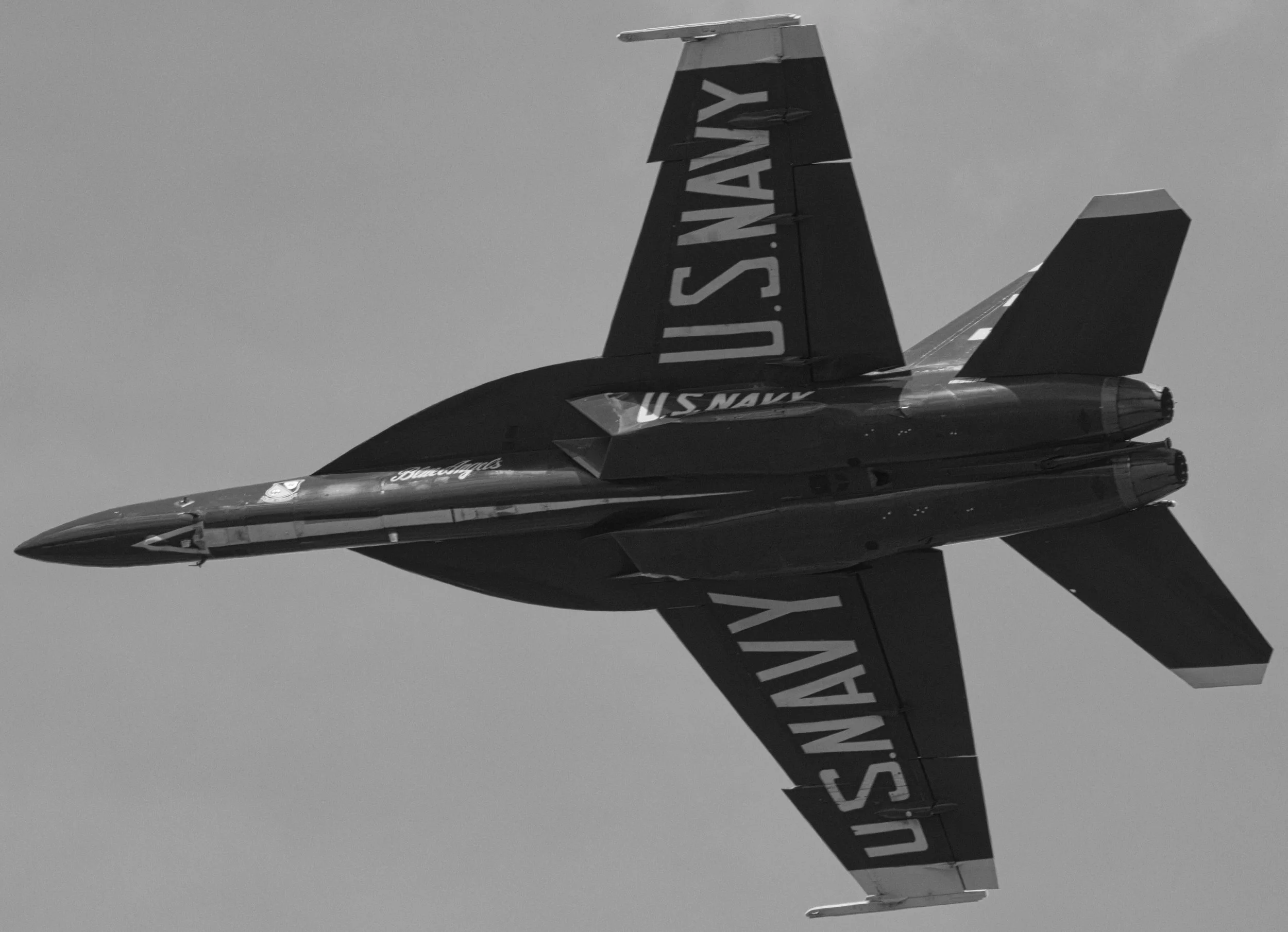 3B5A7738 - B&W.jpg