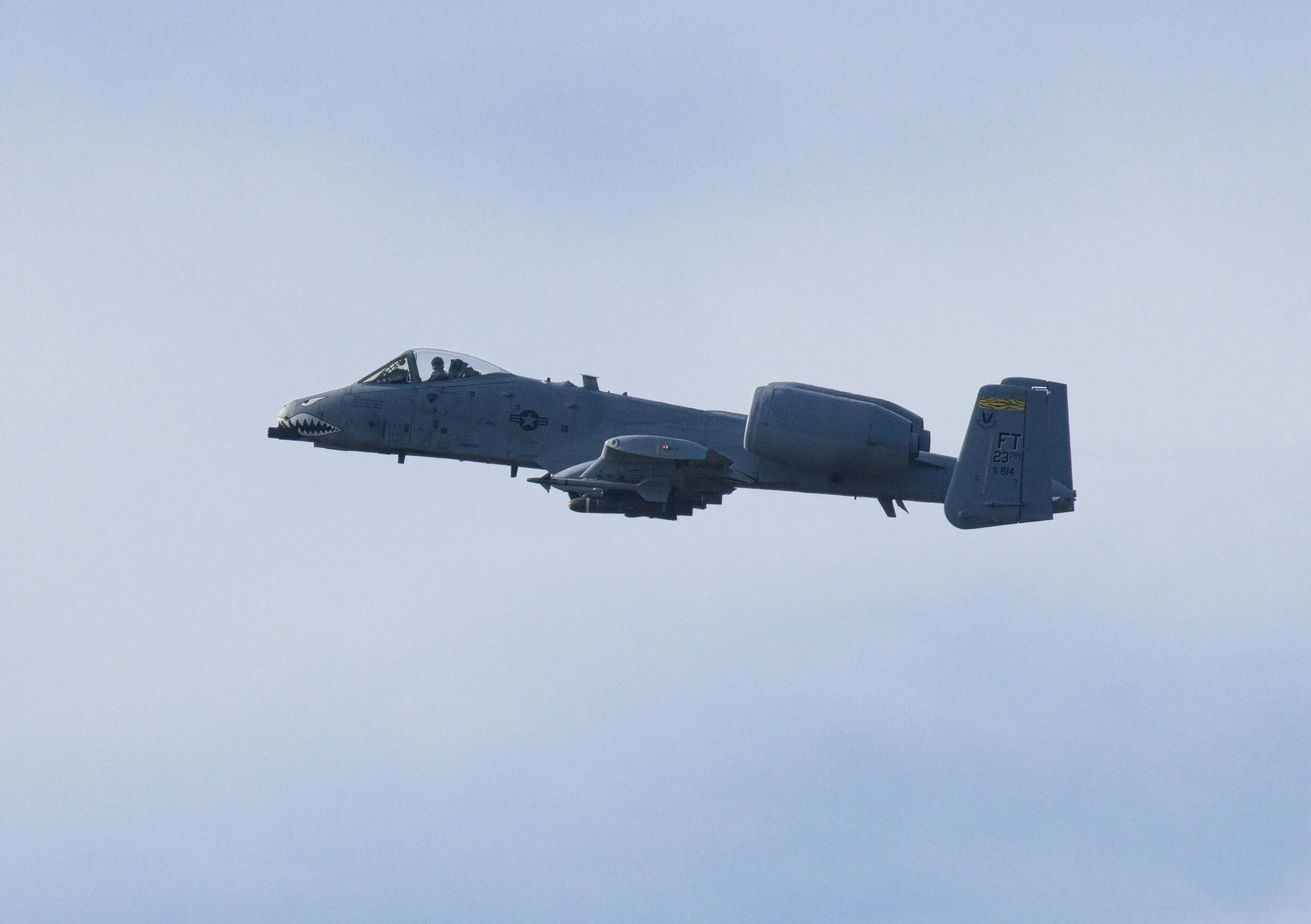 3B5A1353.jpg
