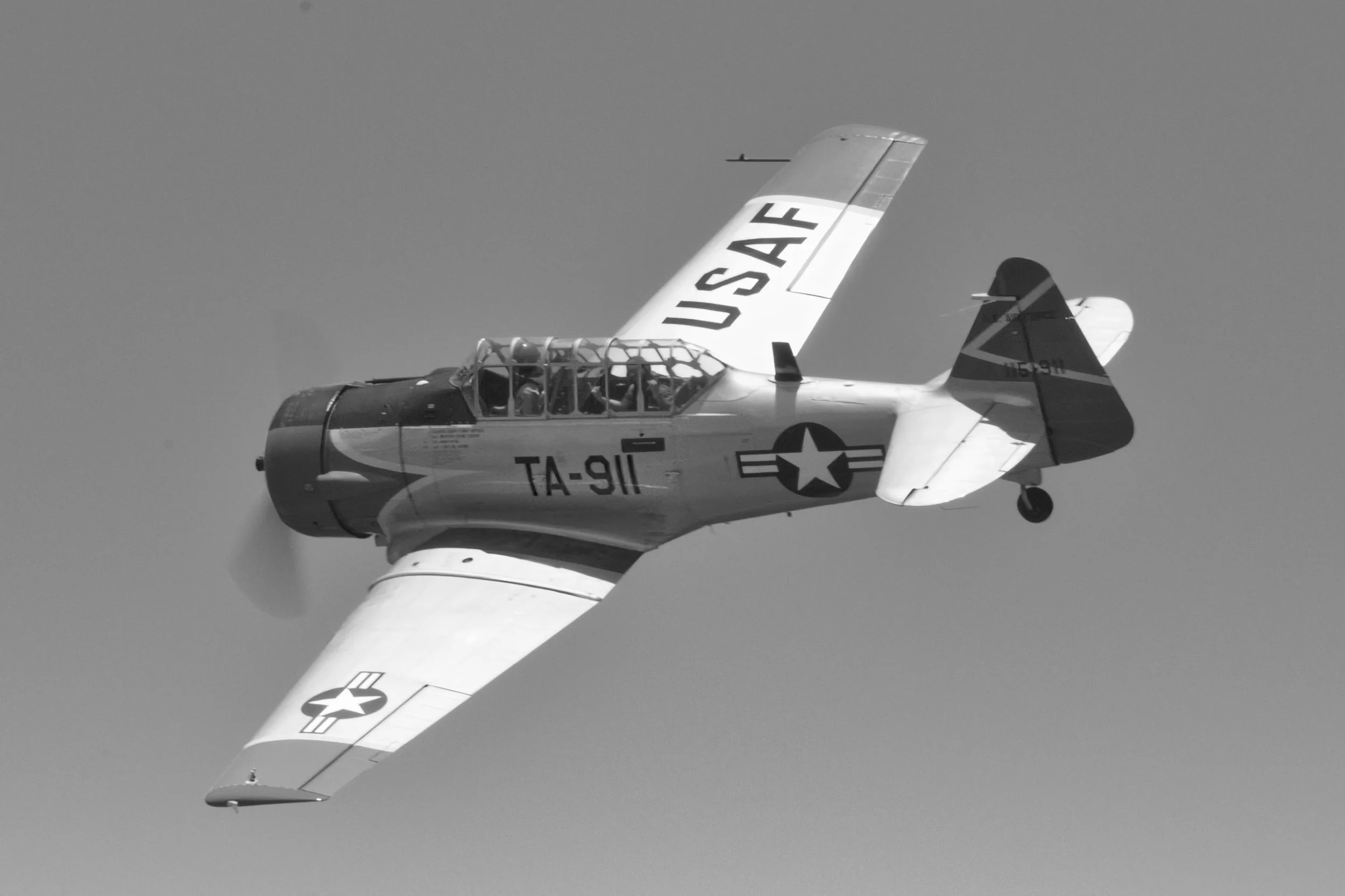 3B5A0118 - EDITED - B&W.jpeg