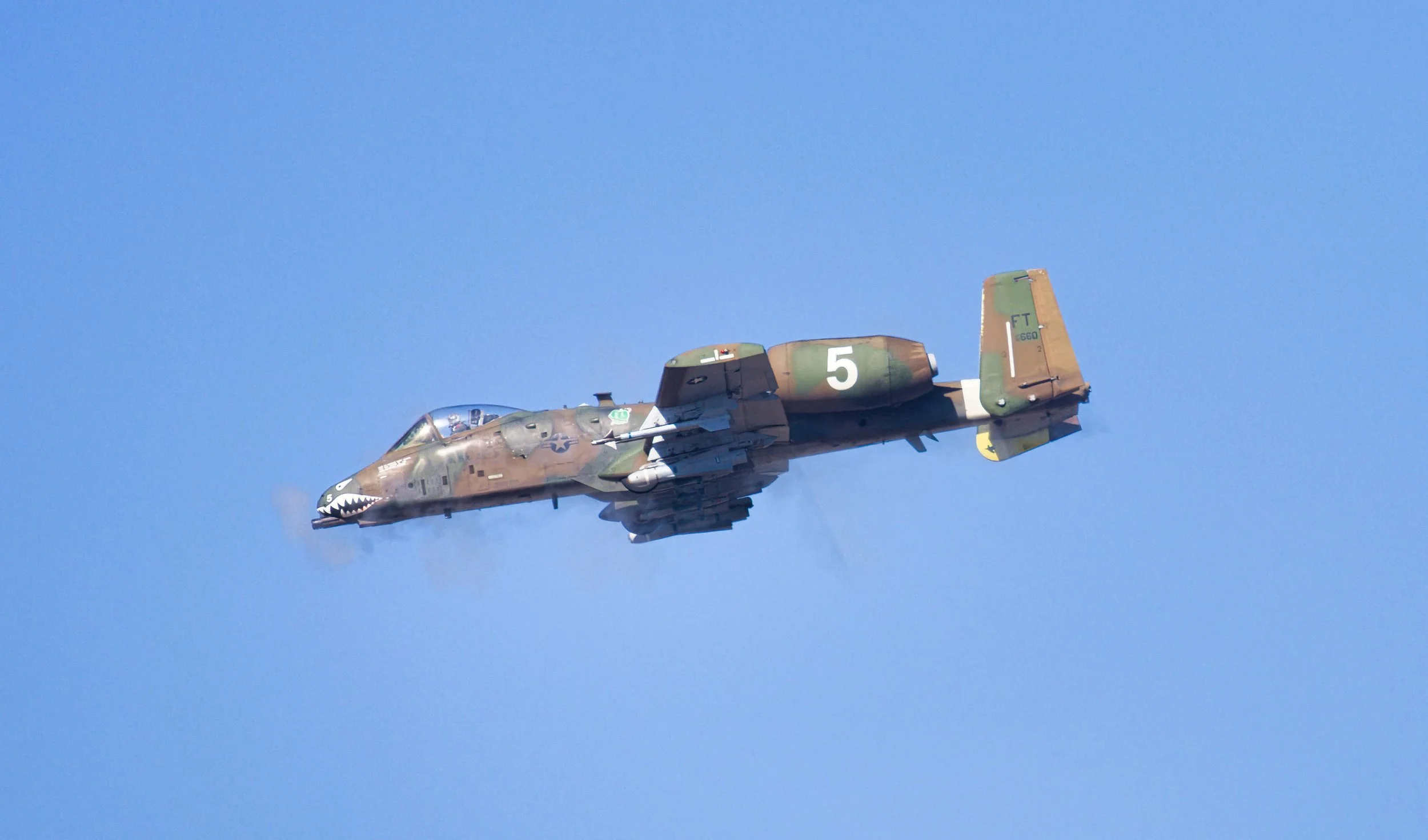 3B5A2051.jpg