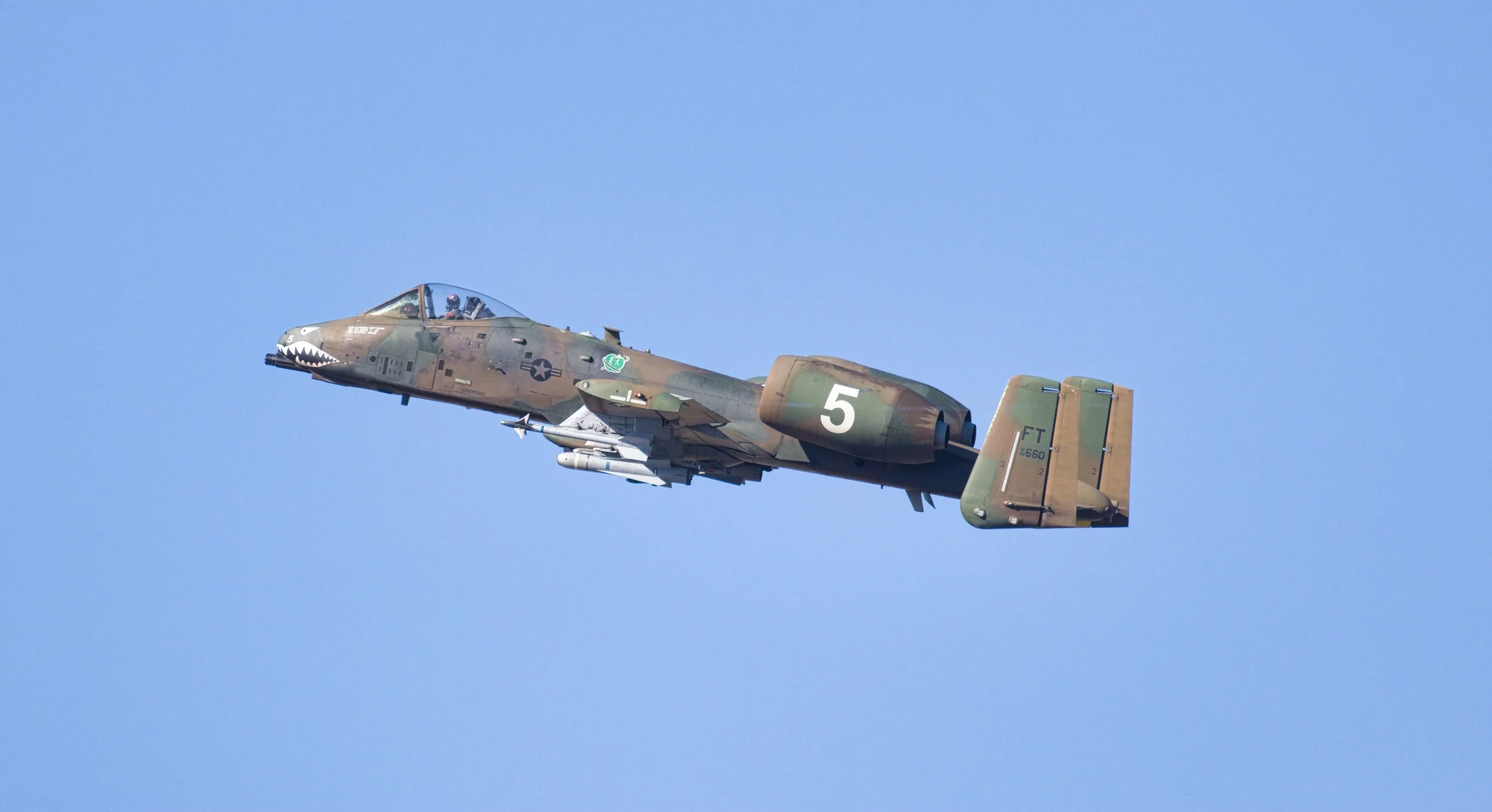 3B5A1980.jpg