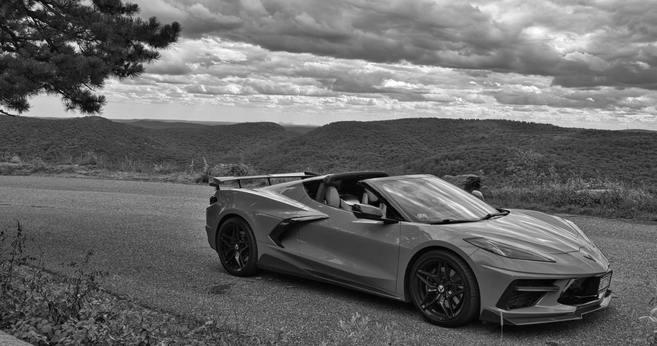 3B5A0801 - B&W.jpg