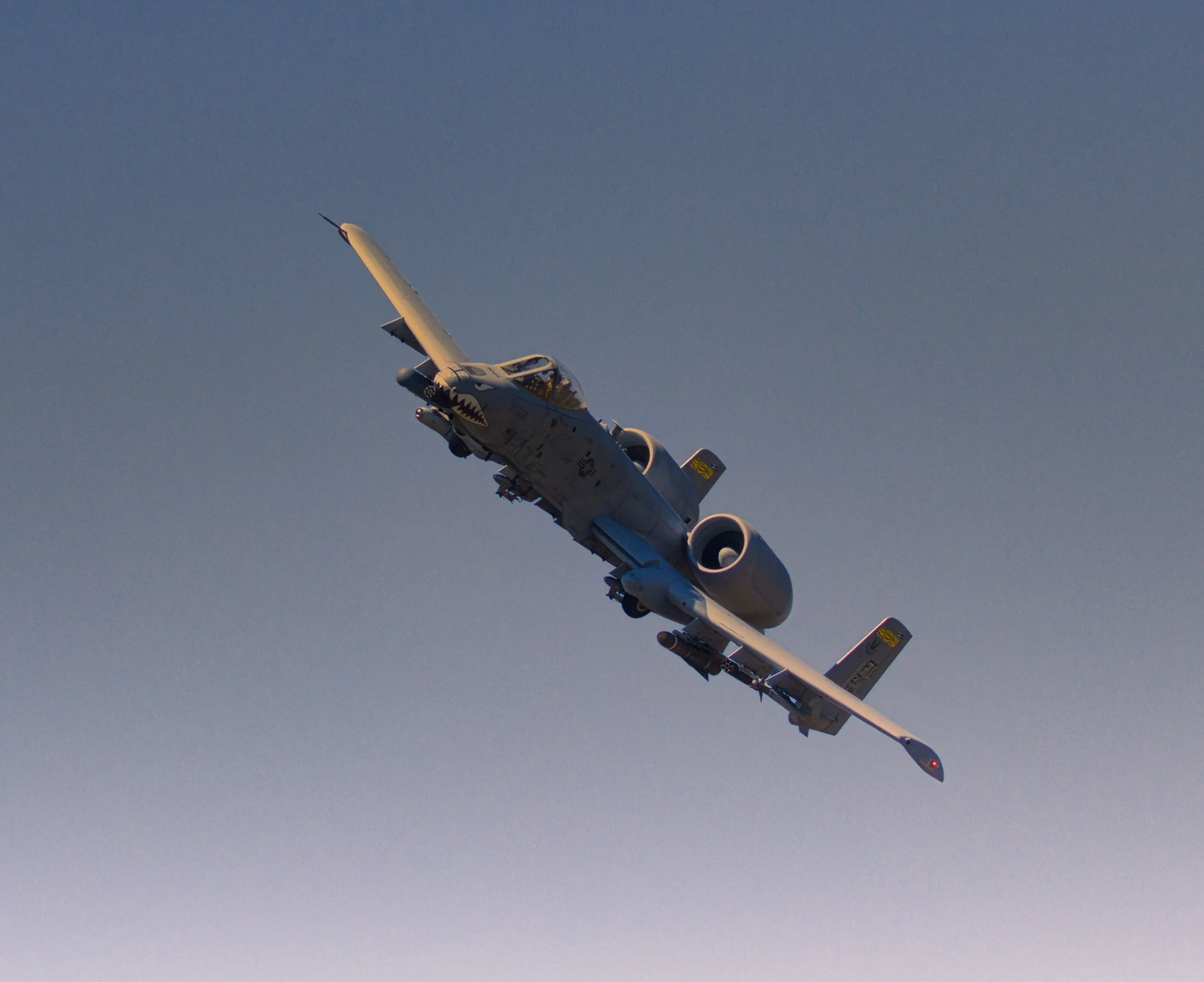 3B5A3239-Blue.jpg