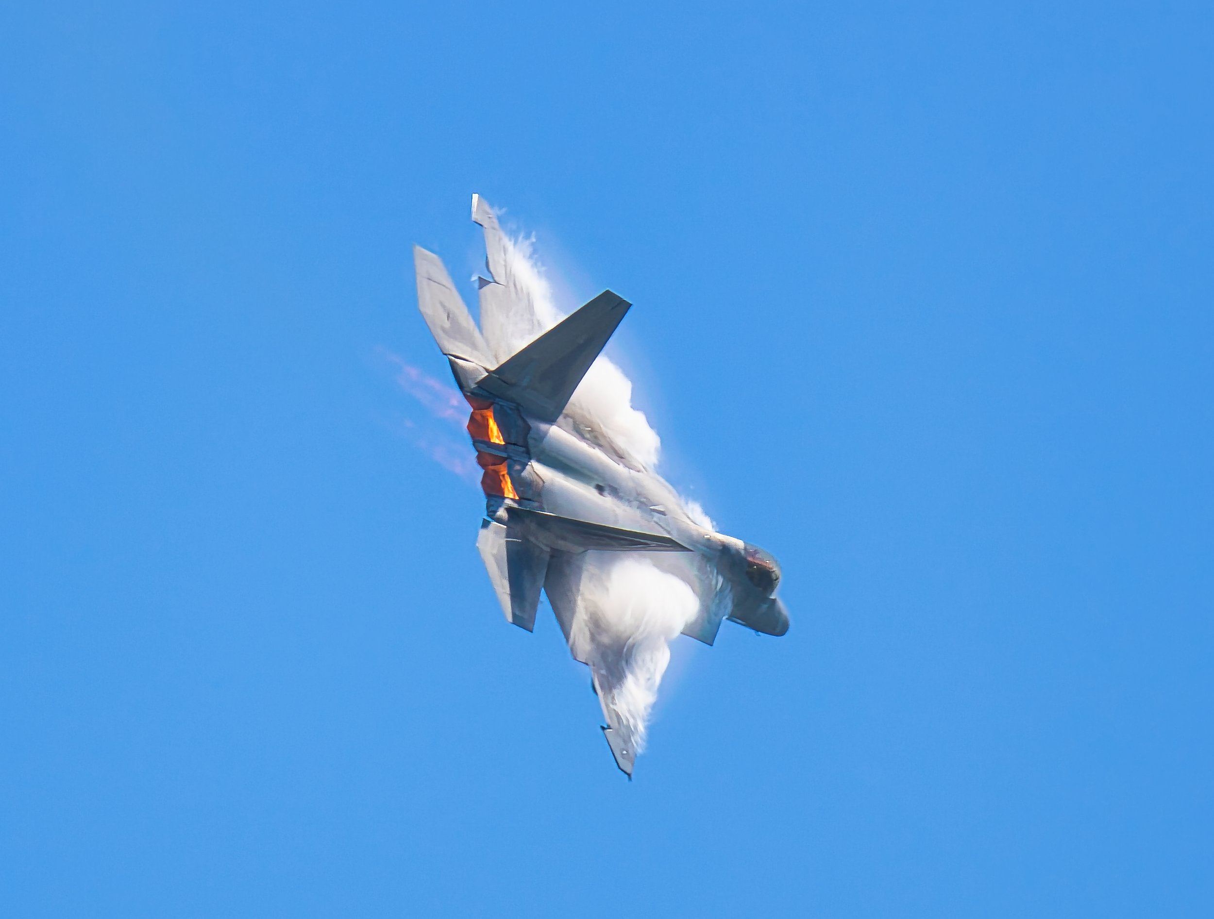 Raptor Tybee - WT23 - 1.jpg