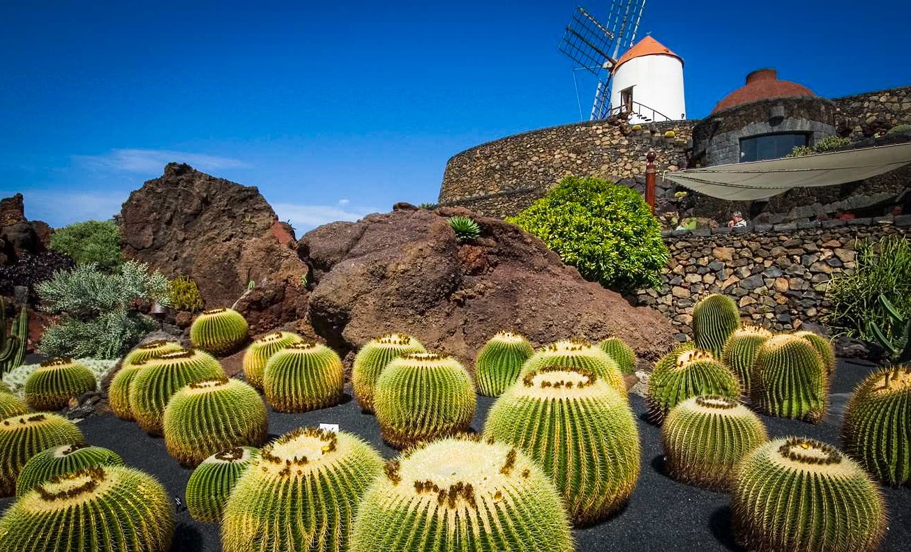 JARDÍN DE CACTUS