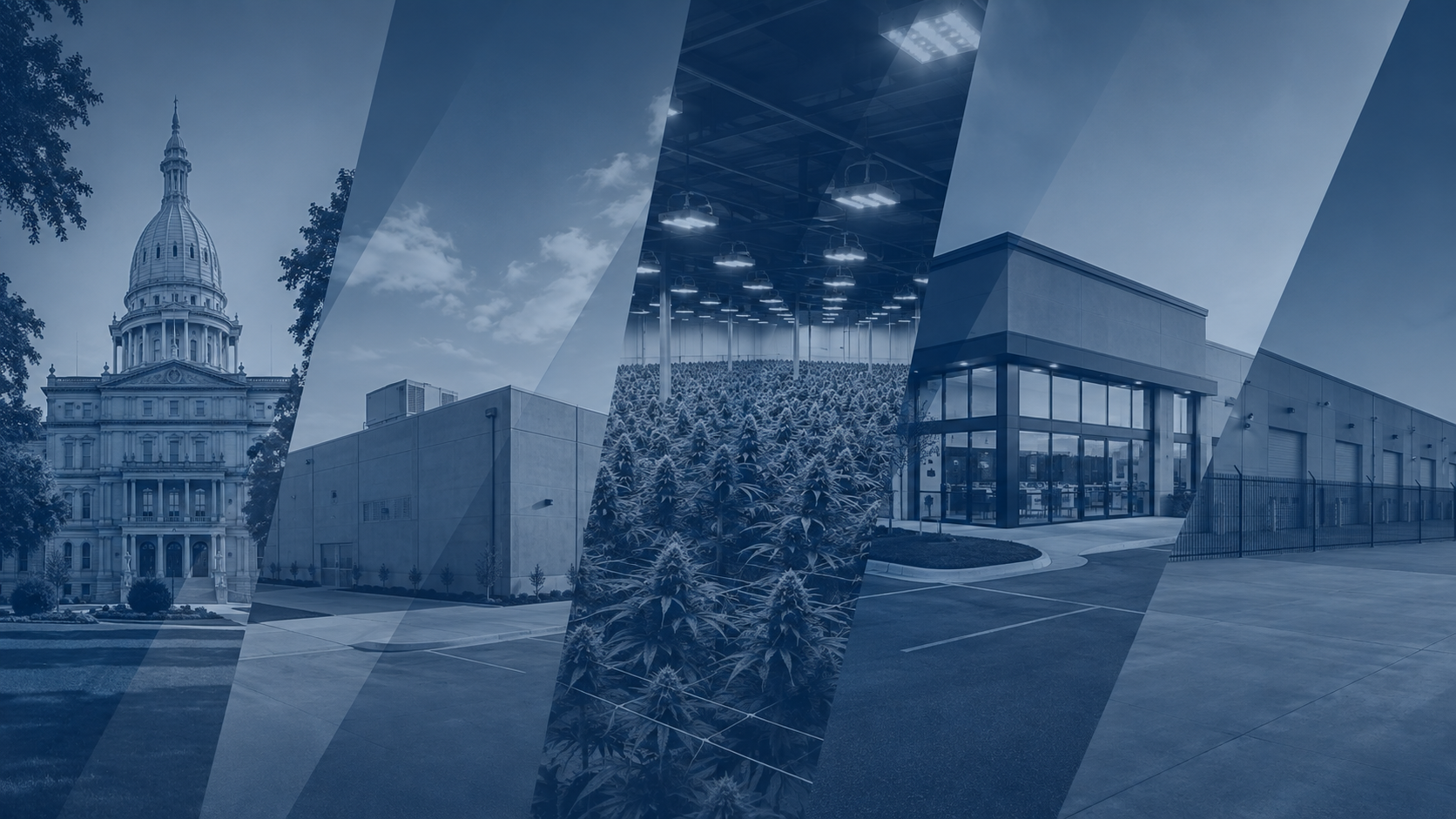 Cannabis Real Estate Insights | August 2026