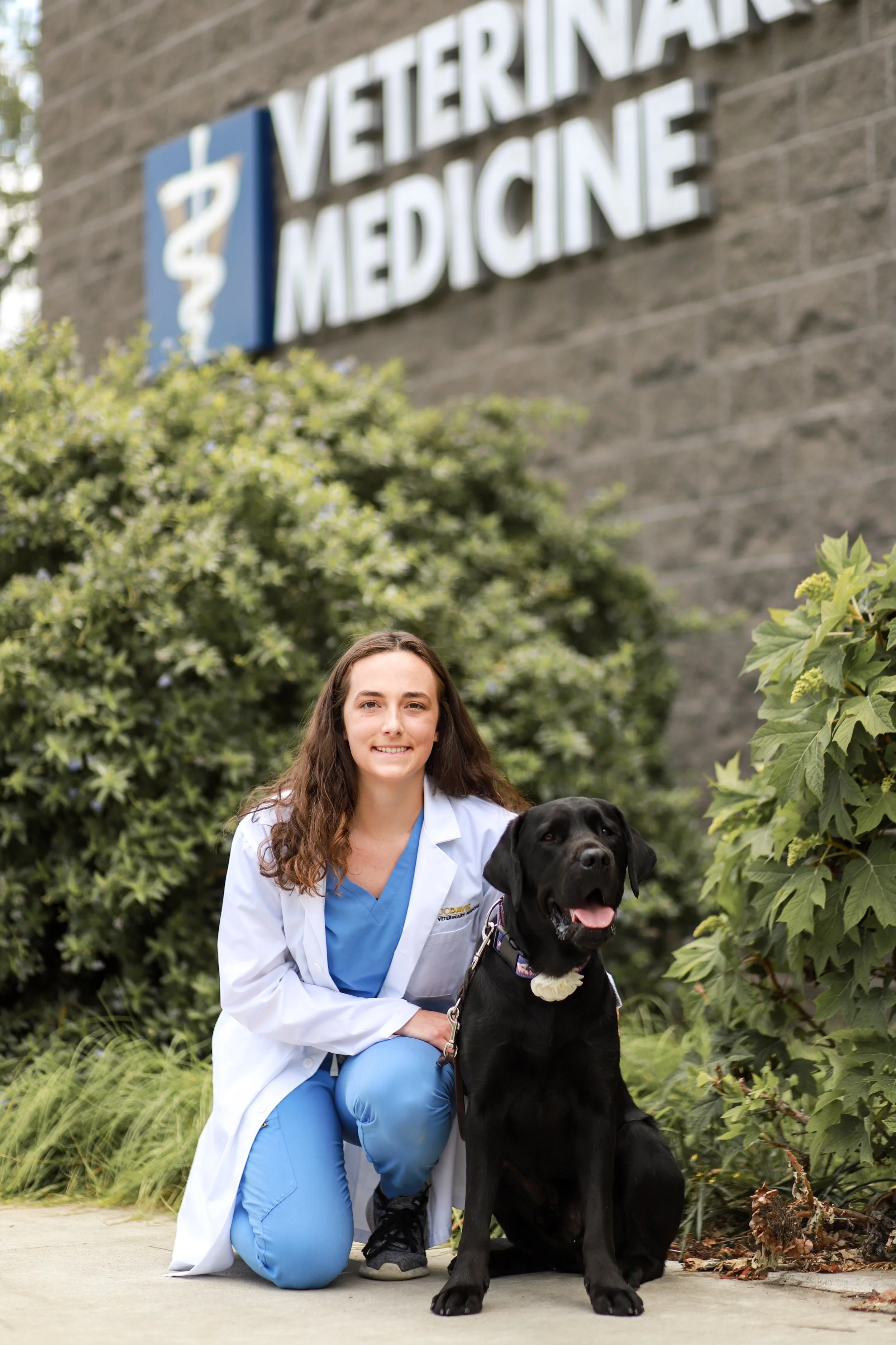 A veterinarian kneeling beside a black Labrador retriever outside a veterinary clinic with a sign that reads 'Veterinary Medicine', greenery, and bushes in the background.