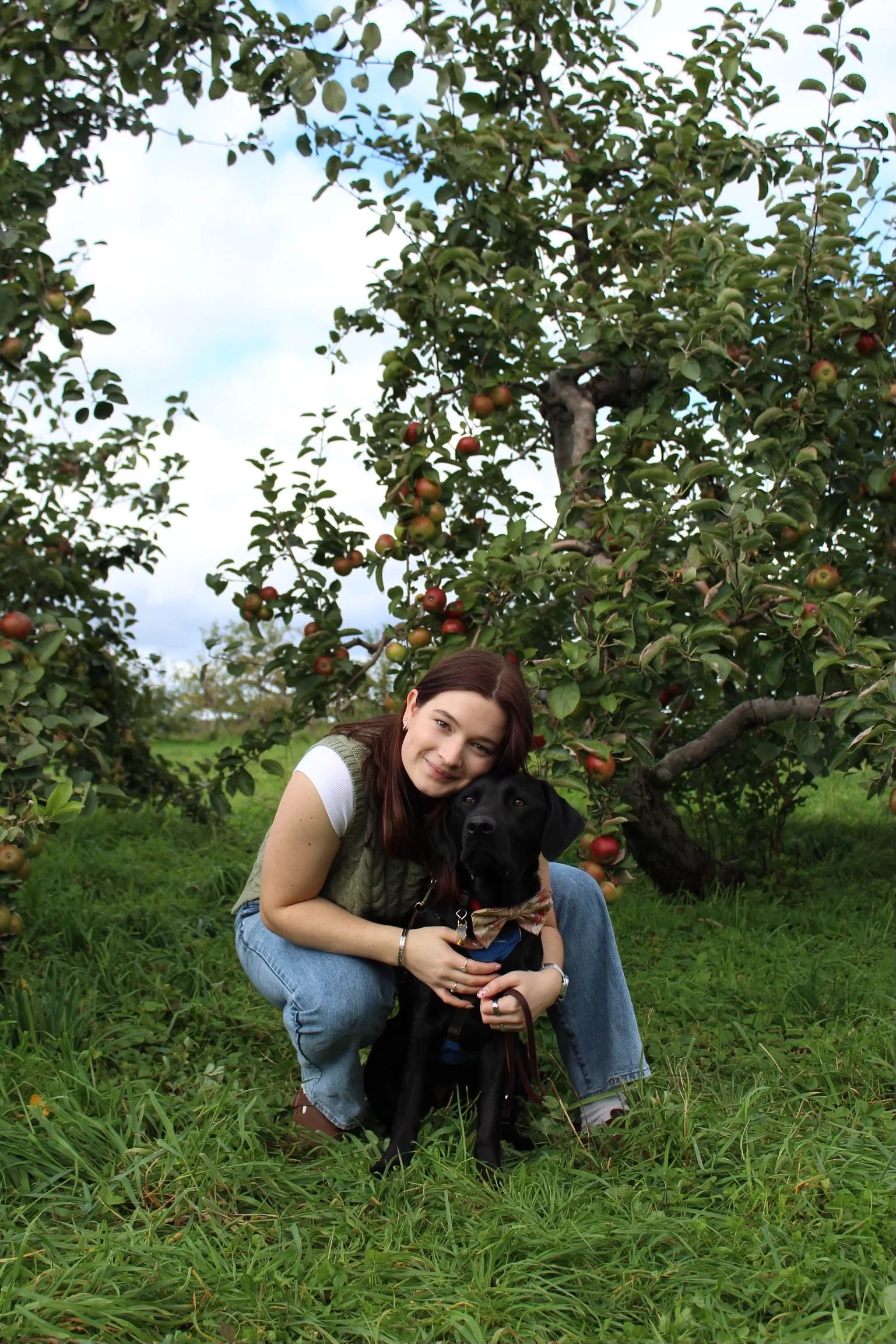A woman crouching in an apple orchard holding a black dog with a bowtie, surrounded by green grass and apple trees with ripe apples.