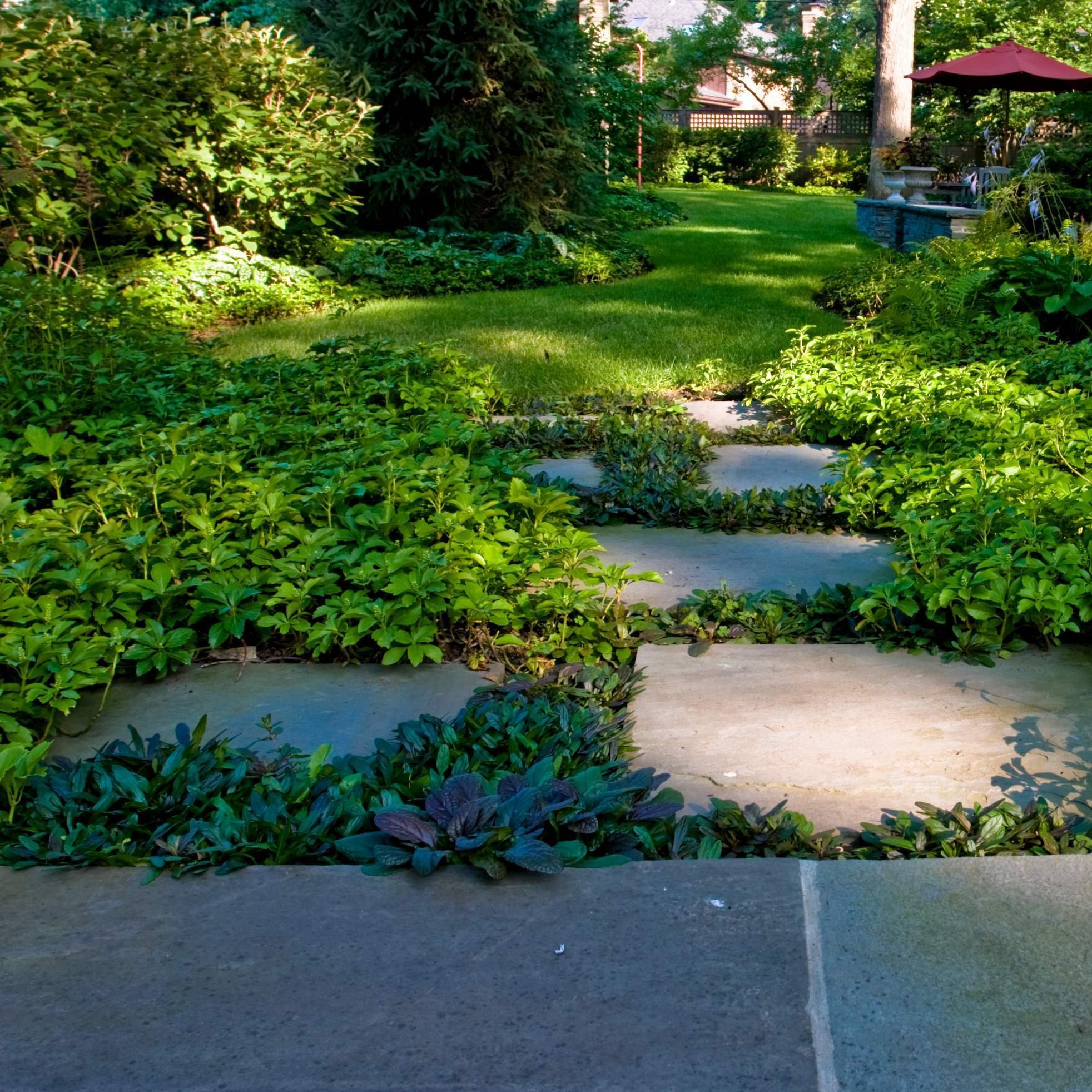A lush backyard with green bushes and trees, a well-maintained lawn, a stone-tiled pathway, and outdoor furniture including a table with an umbrella in a sunny setting.