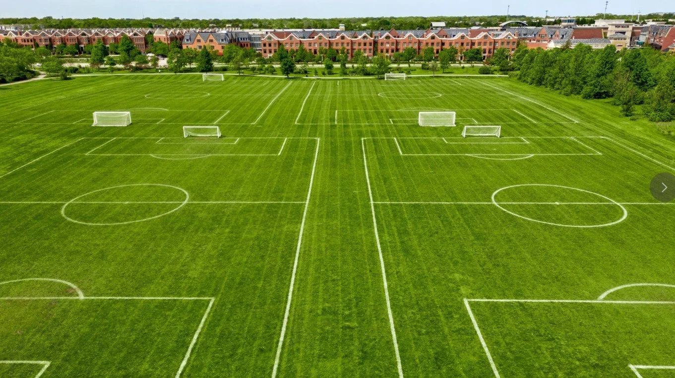 Aerial view of a large, green soccer field with multiple soccer goals and white field markings, surrounded by trees and a row of residential buildings at the back.