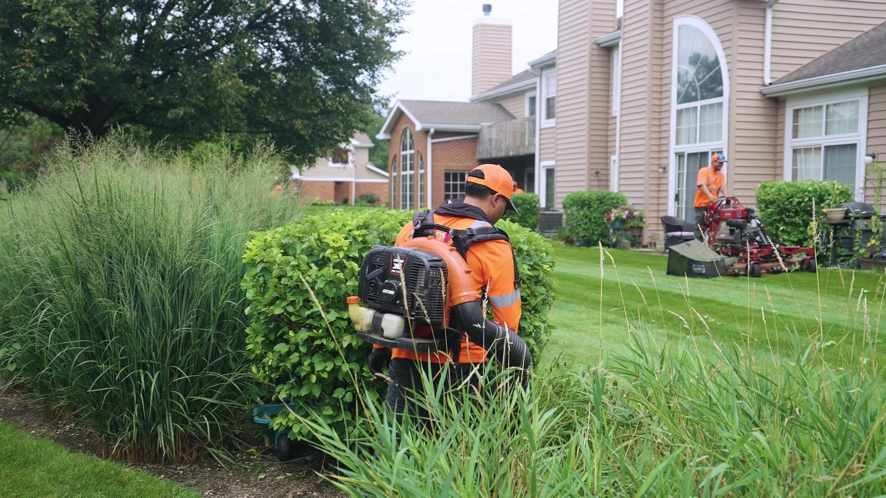ILT Vignocchi crew clearing clippings with backpack blowers