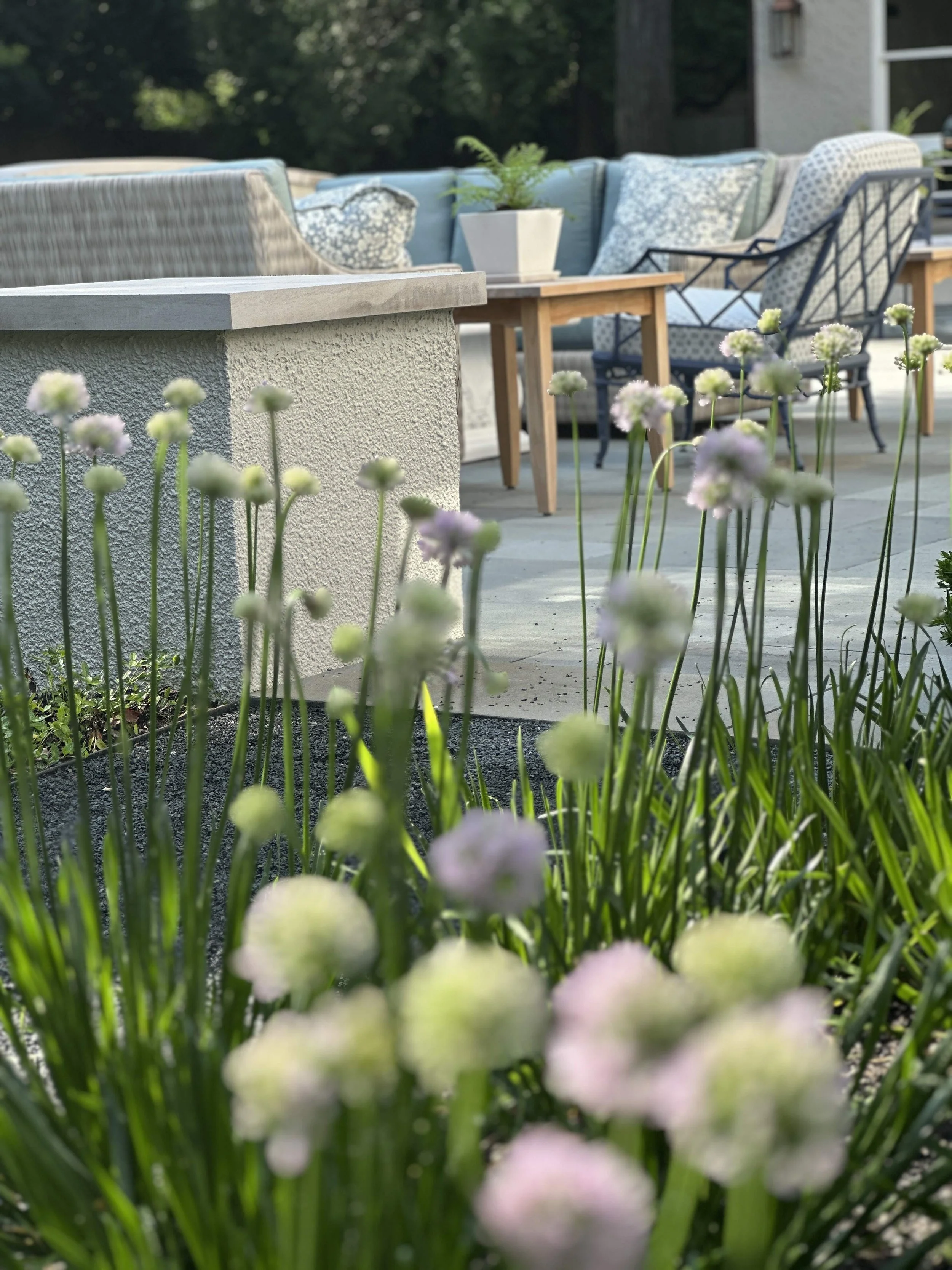 Flowers in the foreground with a patio and outdoor furniture including a sofa, chairs, and a table with a potted fern, and a white building in the background.