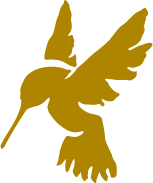 Nectar Coffee House and Community Table  |  South Bend, Indiana