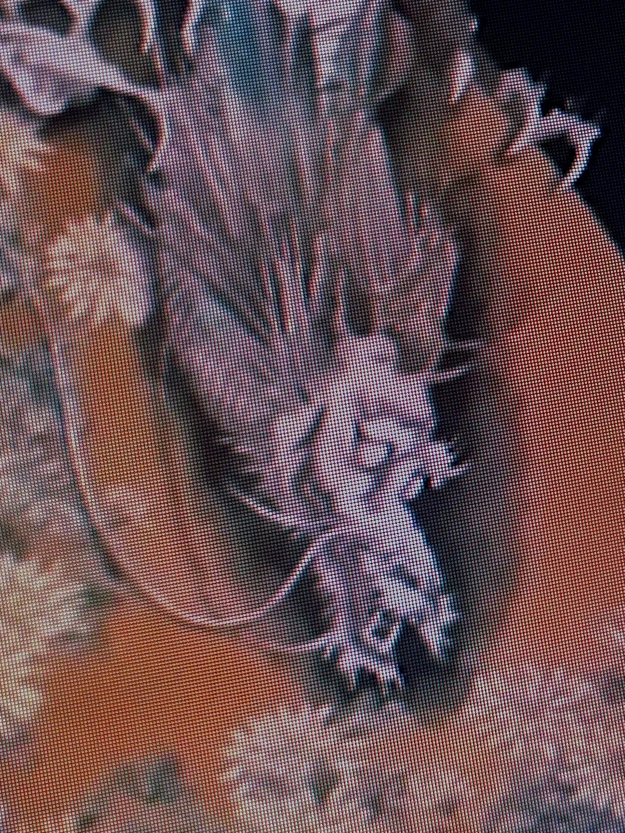 Chapter 1: Bad World