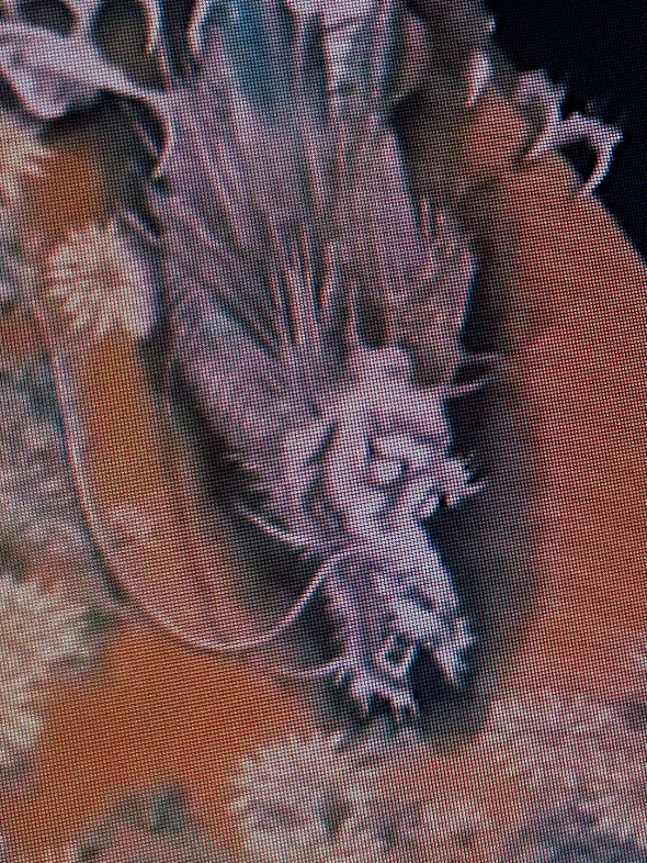 Chapter 10: Walking Forever