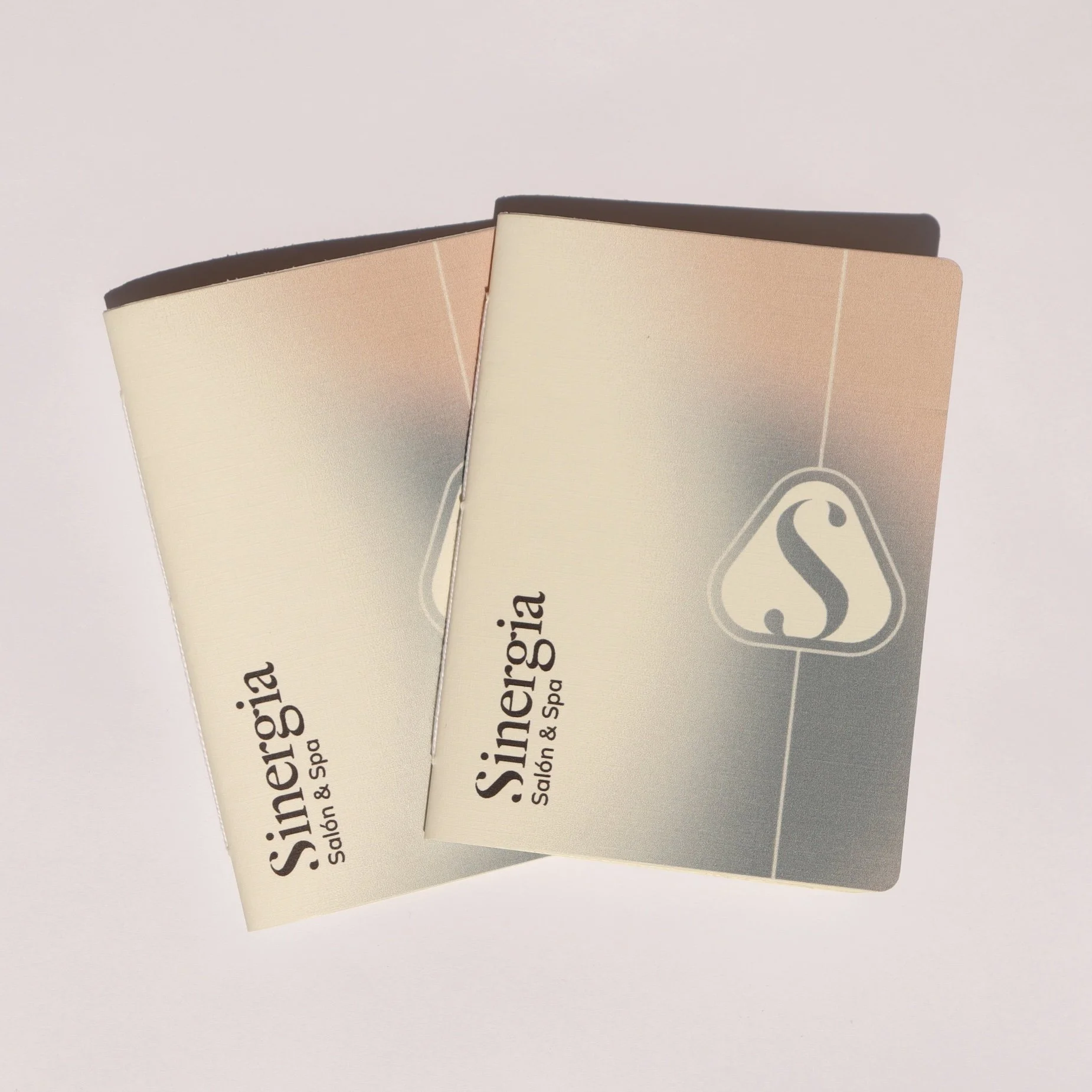 Aplicación de branding: Cuadernillos