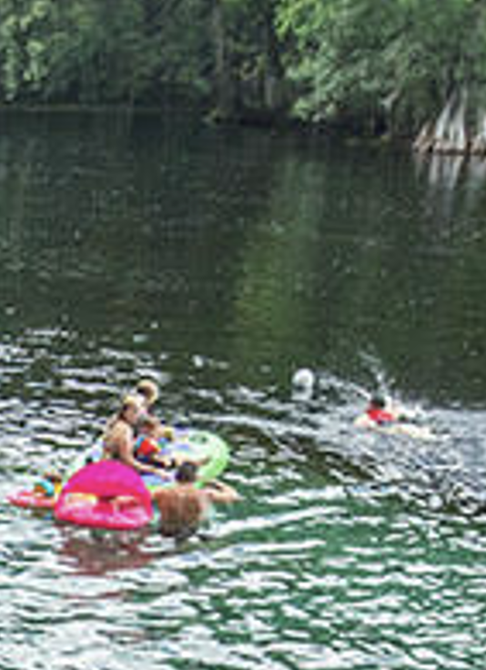 Children swimming and playing with floaties in a lake surrounded by trees.