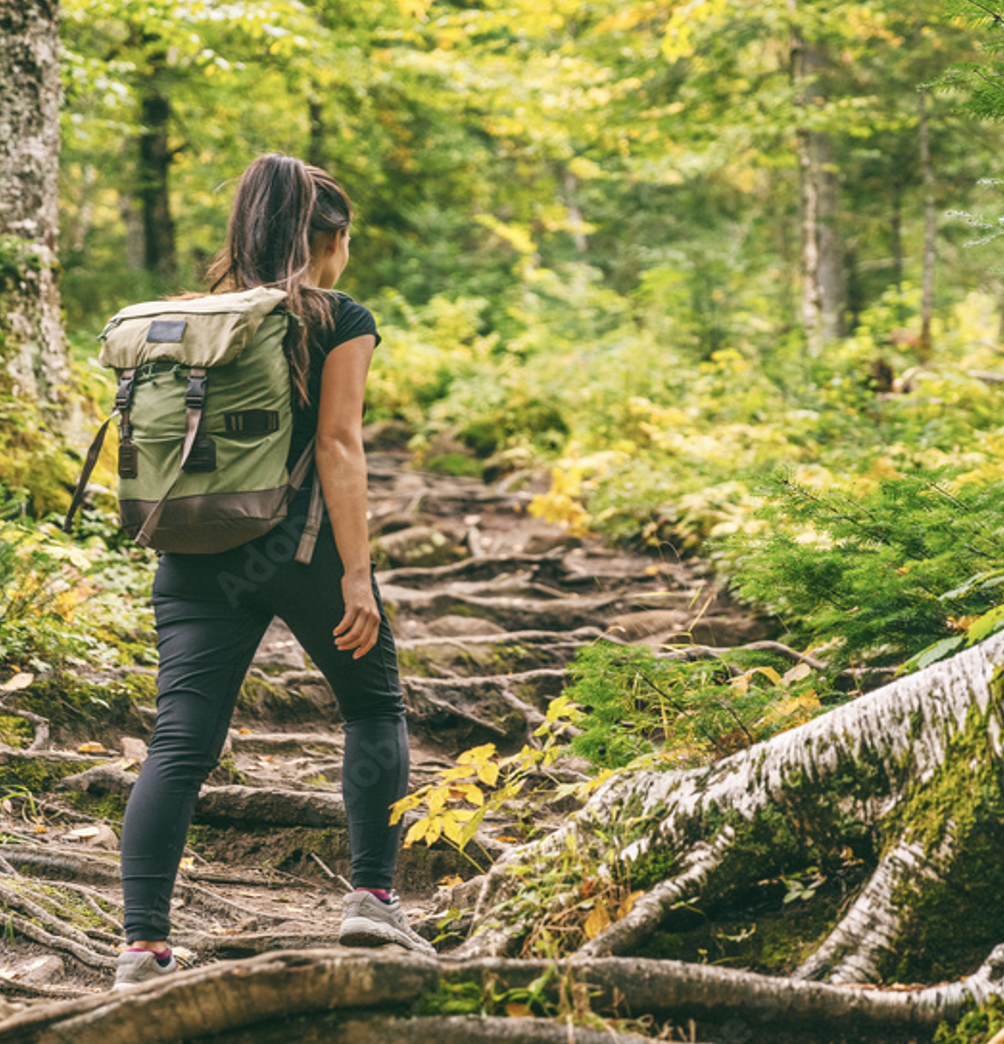 A woman hiking on a rocky trail in a lush green forest, carrying a green backpack.