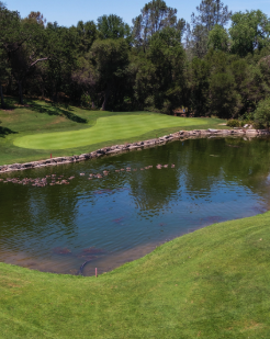 A golf course with green grass, a pond, and trees in the background.