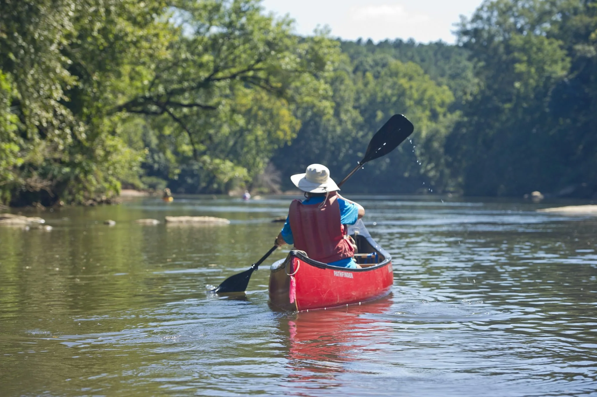 Person kayaking on a calm river surrounded by lush green trees on a sunny day.