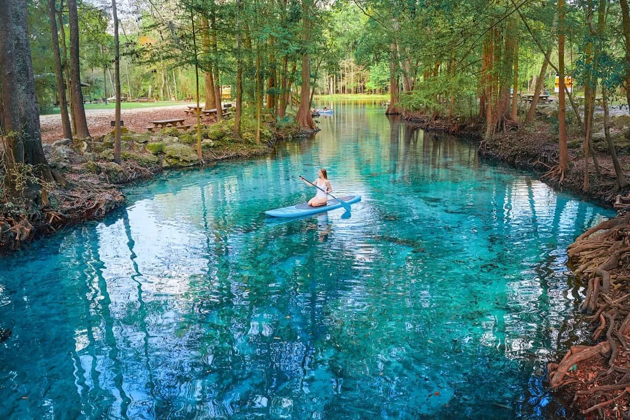 A woman paddleboarding on a calm, blue-green river surrounded by lush trees in a forest setting.