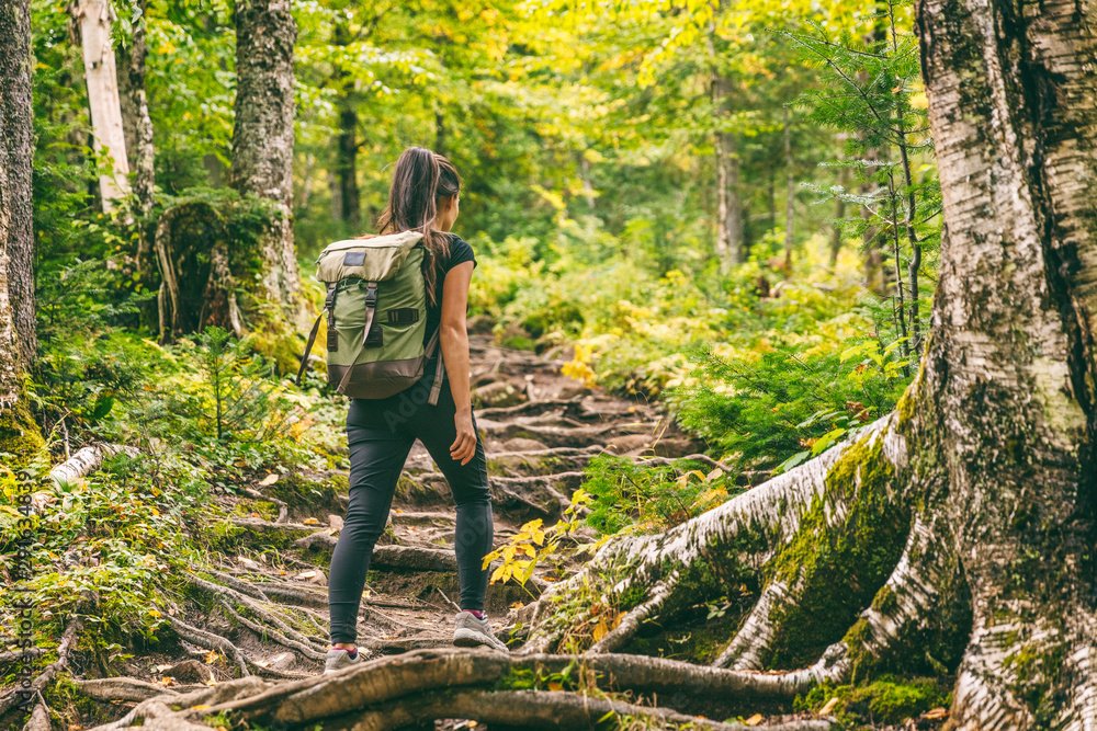 Woman hiking on a rocky forest trail surrounded by green trees with sunlight filtering through.