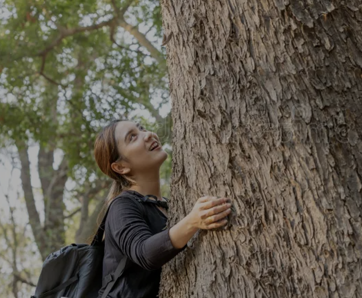 A young woman with brown hair, wearing a black long-sleeve shirt and a backpack, is smiling and hugging a large tree in a forest.