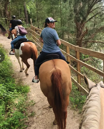 Group of people riding horses on a wooded trail with a wooden fence.