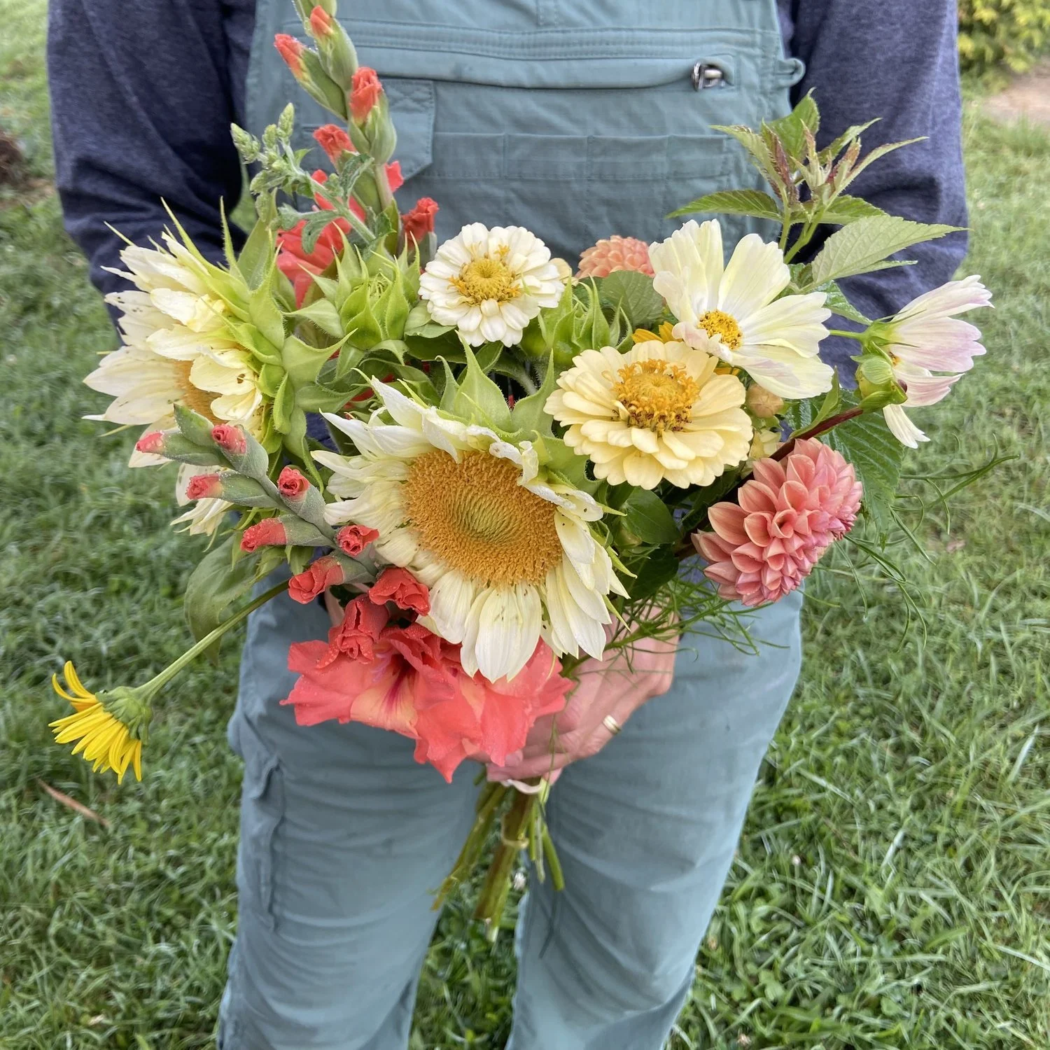 Caring for the garden